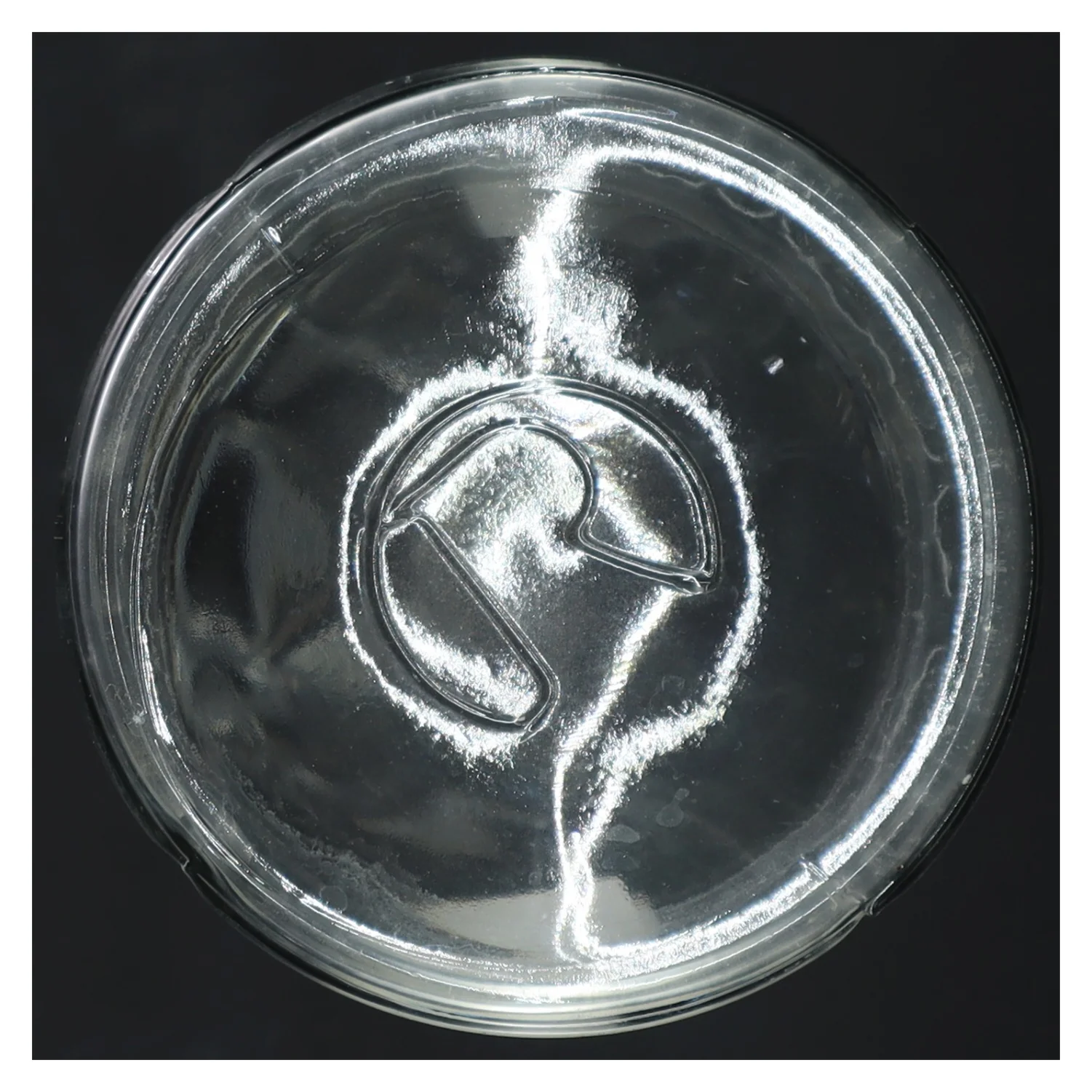 Glasvase fra Rosendahl (str. 34 cm)