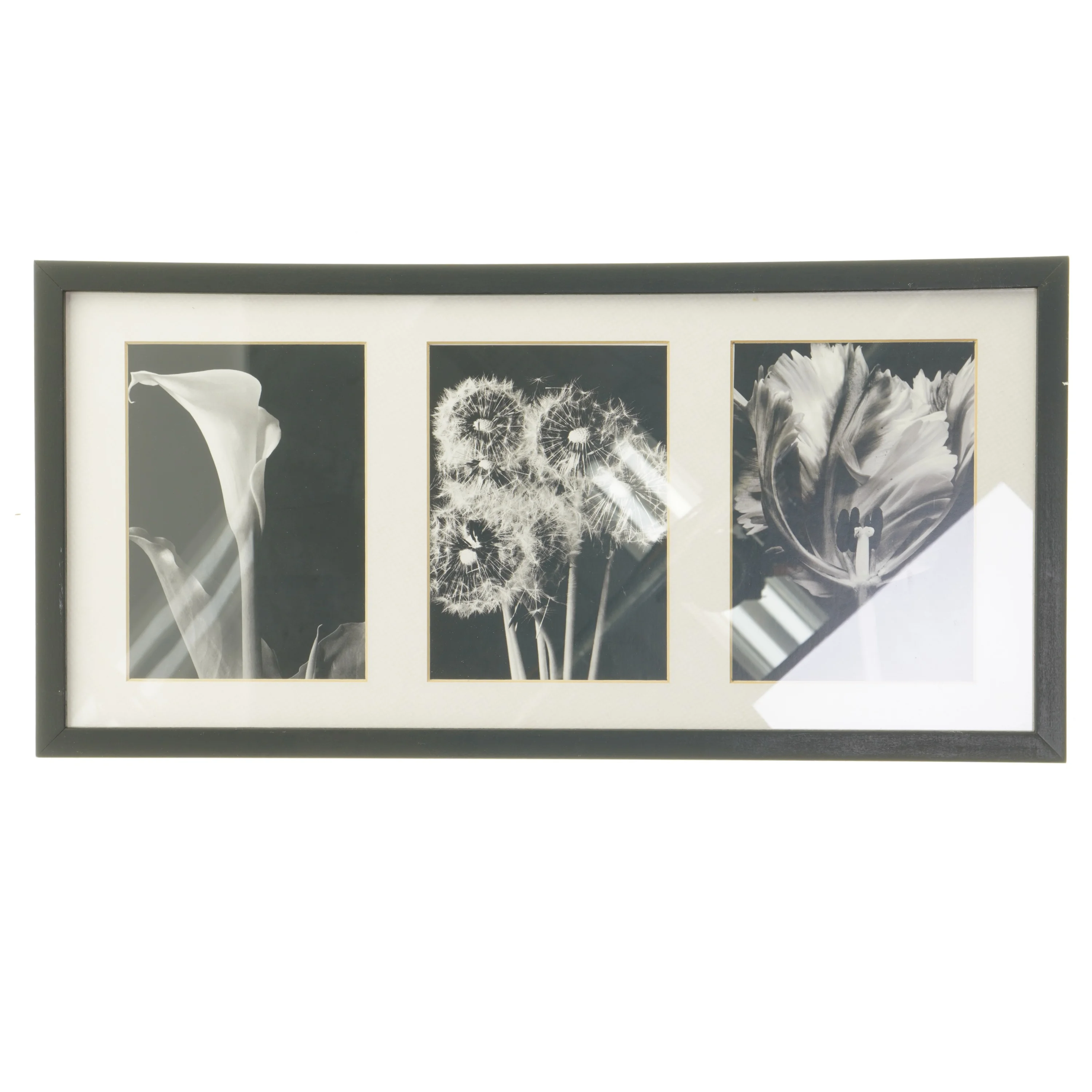 Sort billedramme med blomsterbilleder (str. 25,5x52,5 cm)