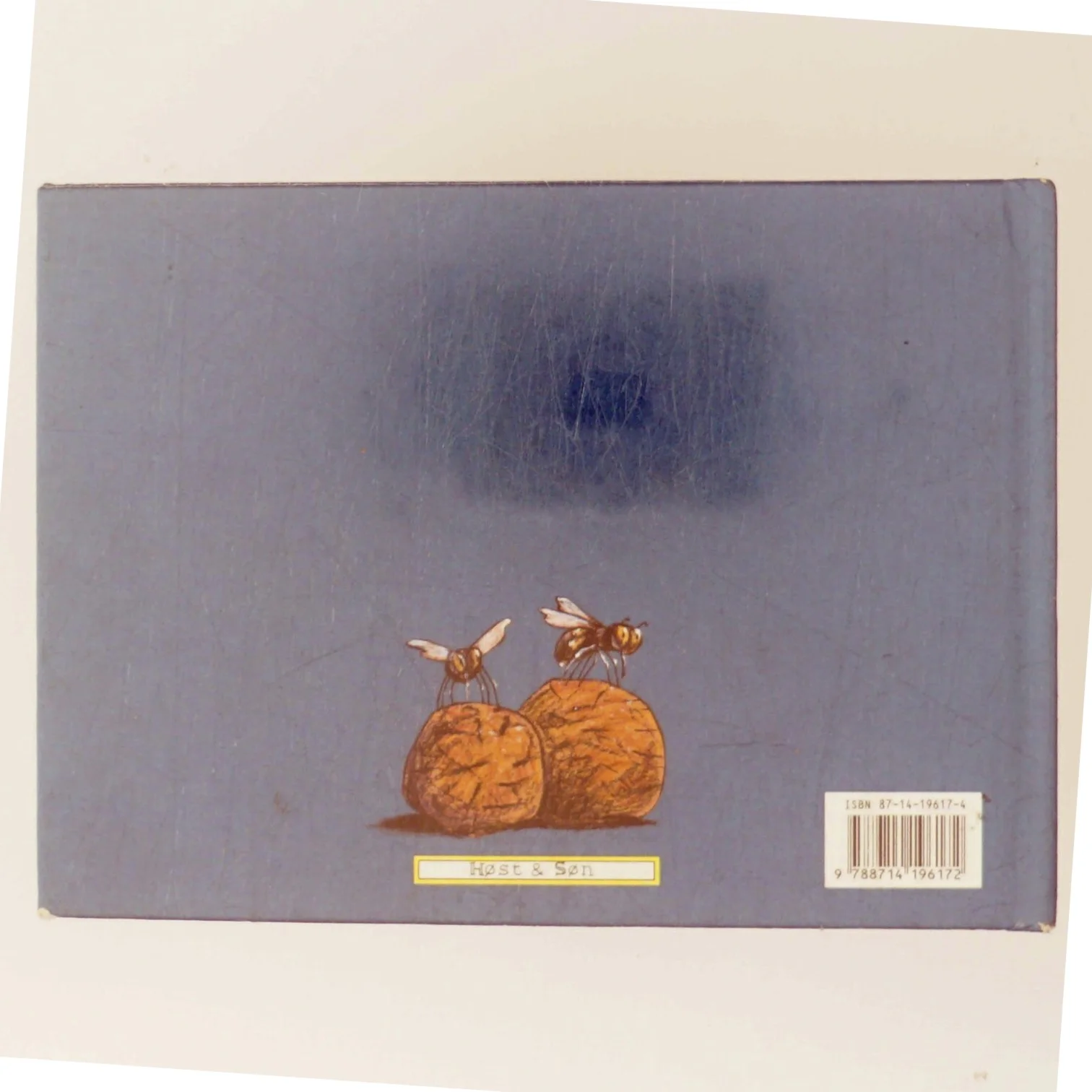 Mysteriet om smaradøjet (Bog)