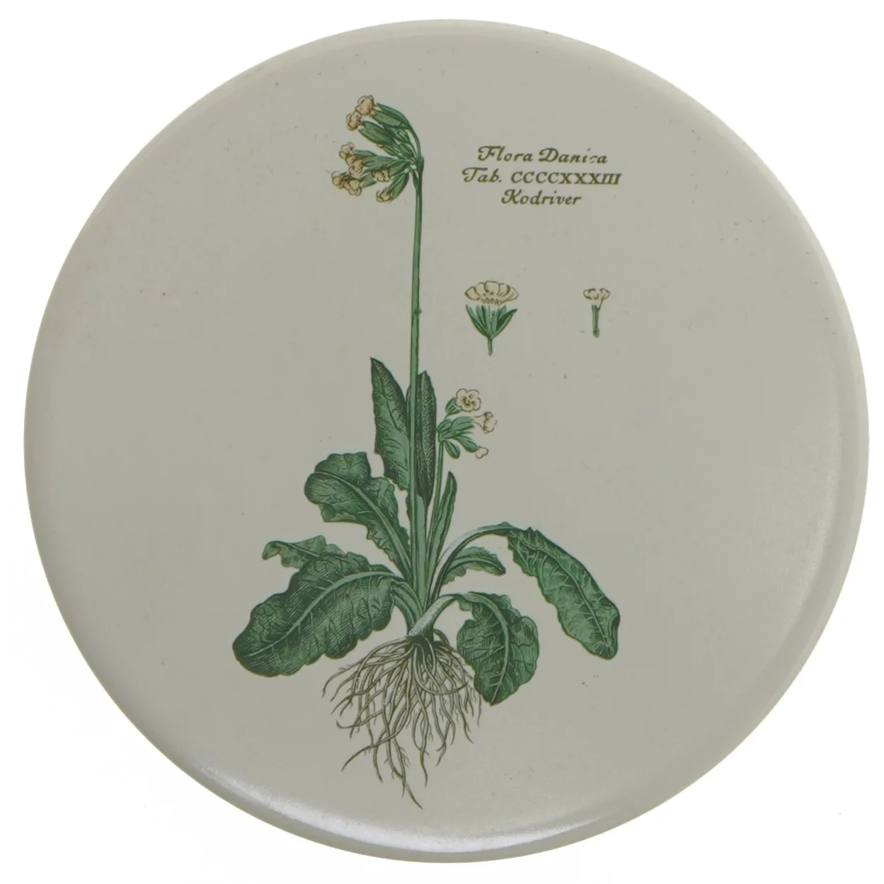 Dekorativ tallerken med blomsterillustration fra H & R Johnson (str. Ø 15 cm)