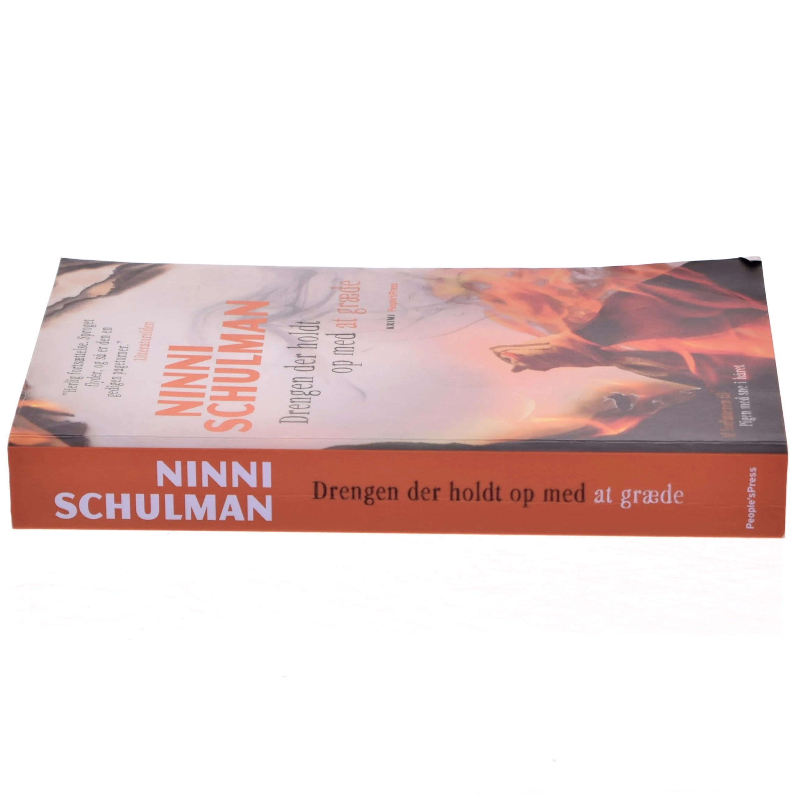 Drengen der holdt op med at græde : kriminalroman af Ninni Schulman (Bog)