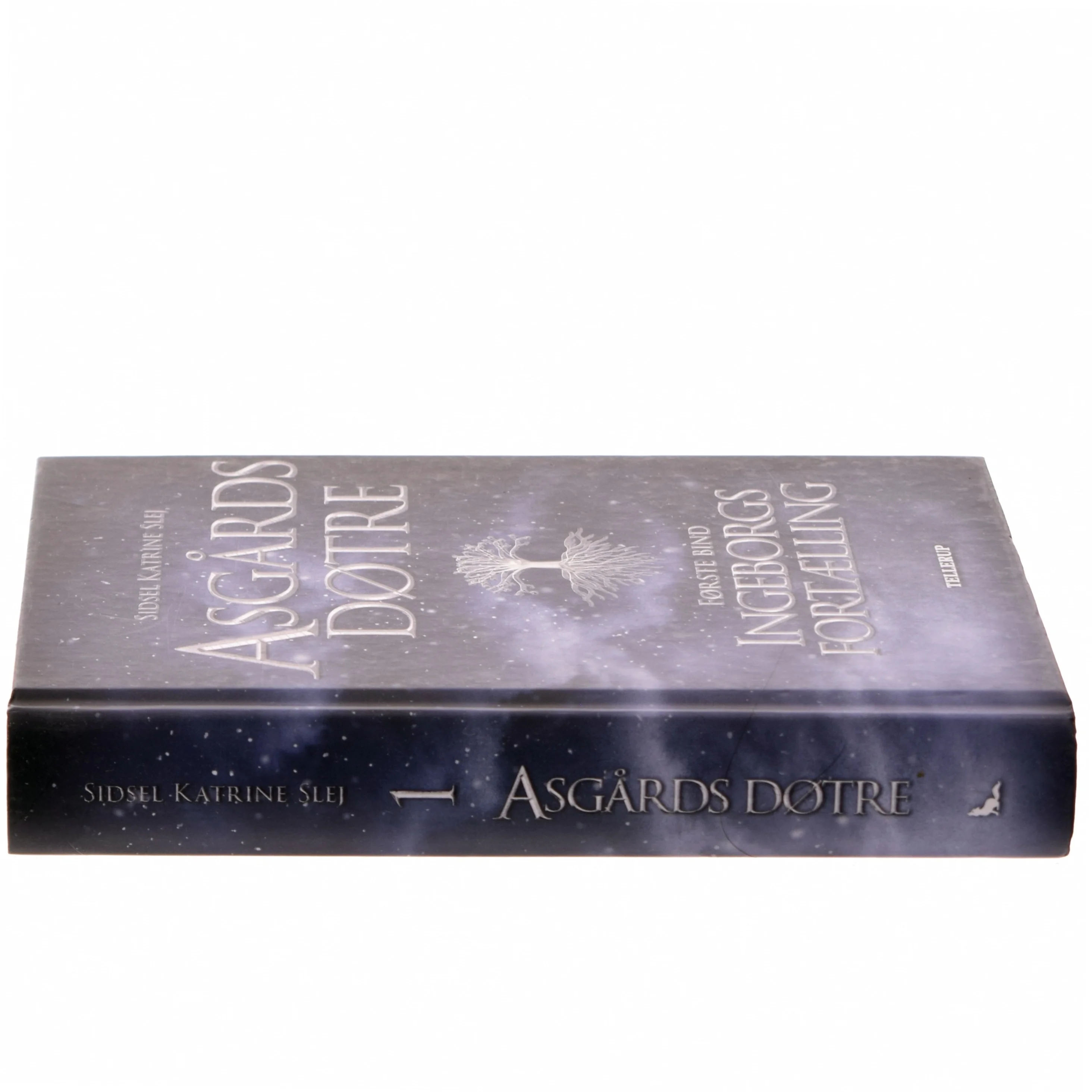 Asgårds døtre af Sidsel Katrine Slej (Bog)