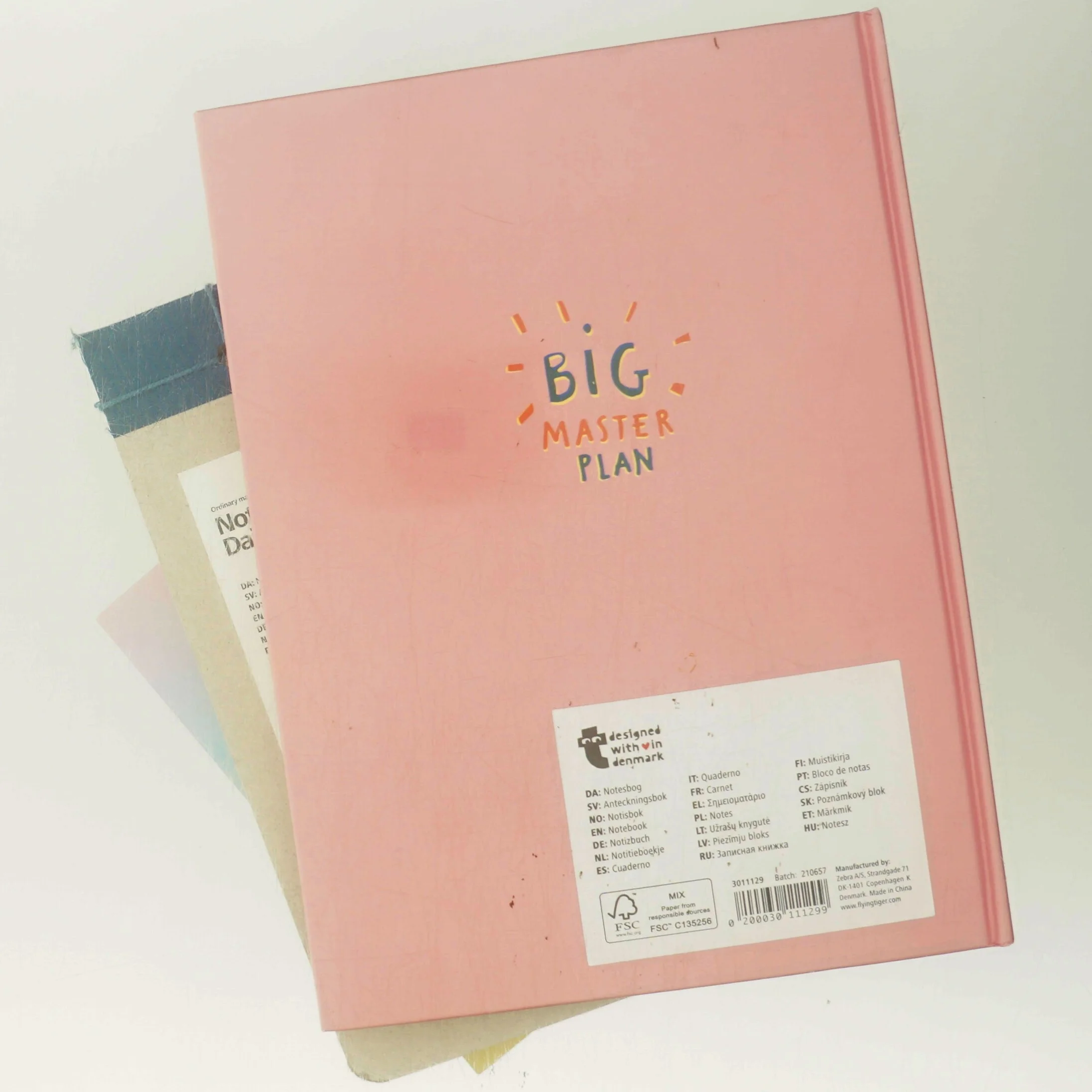 Big Master Plan (Bog)