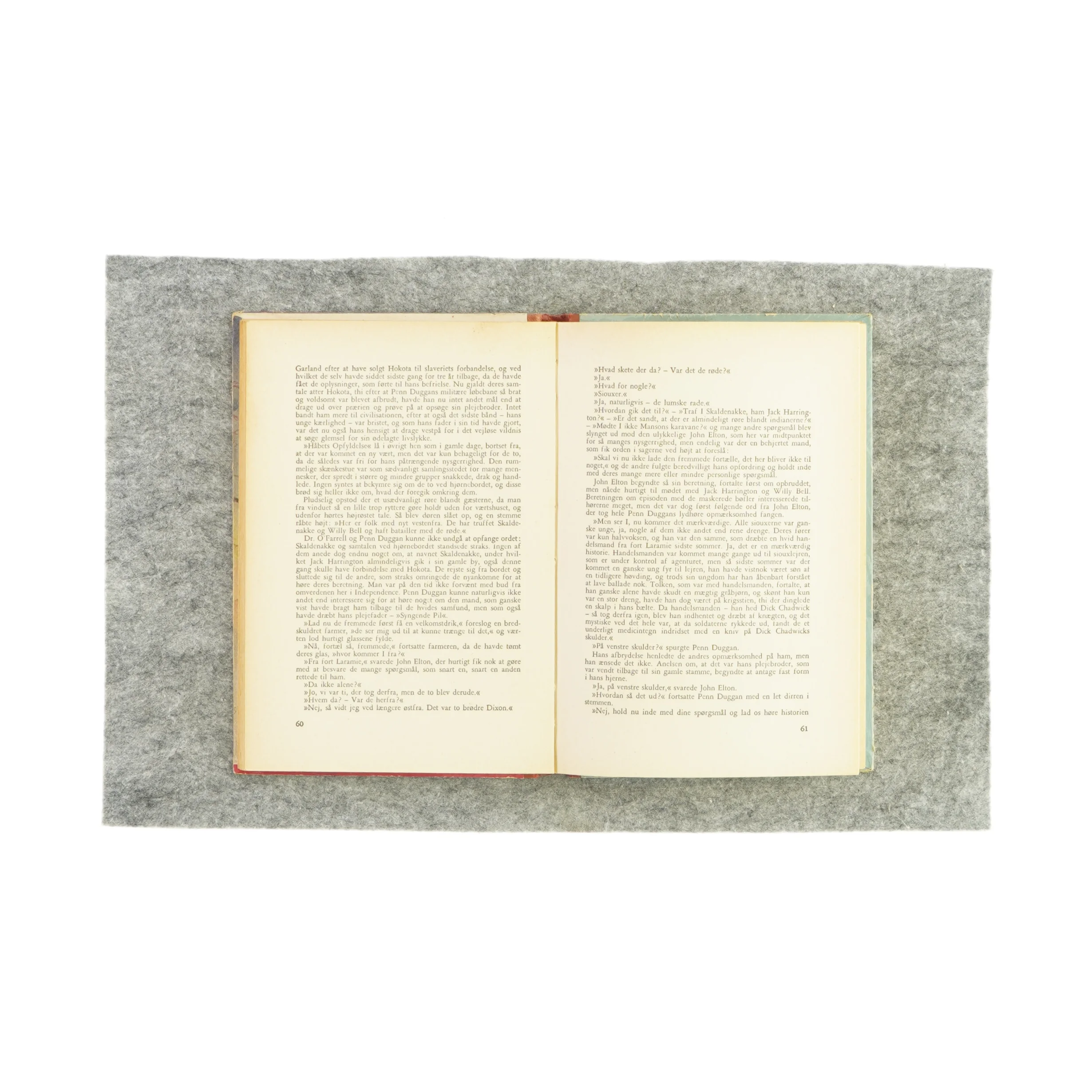 Præriens søn af Torry Gredsted (Bog)