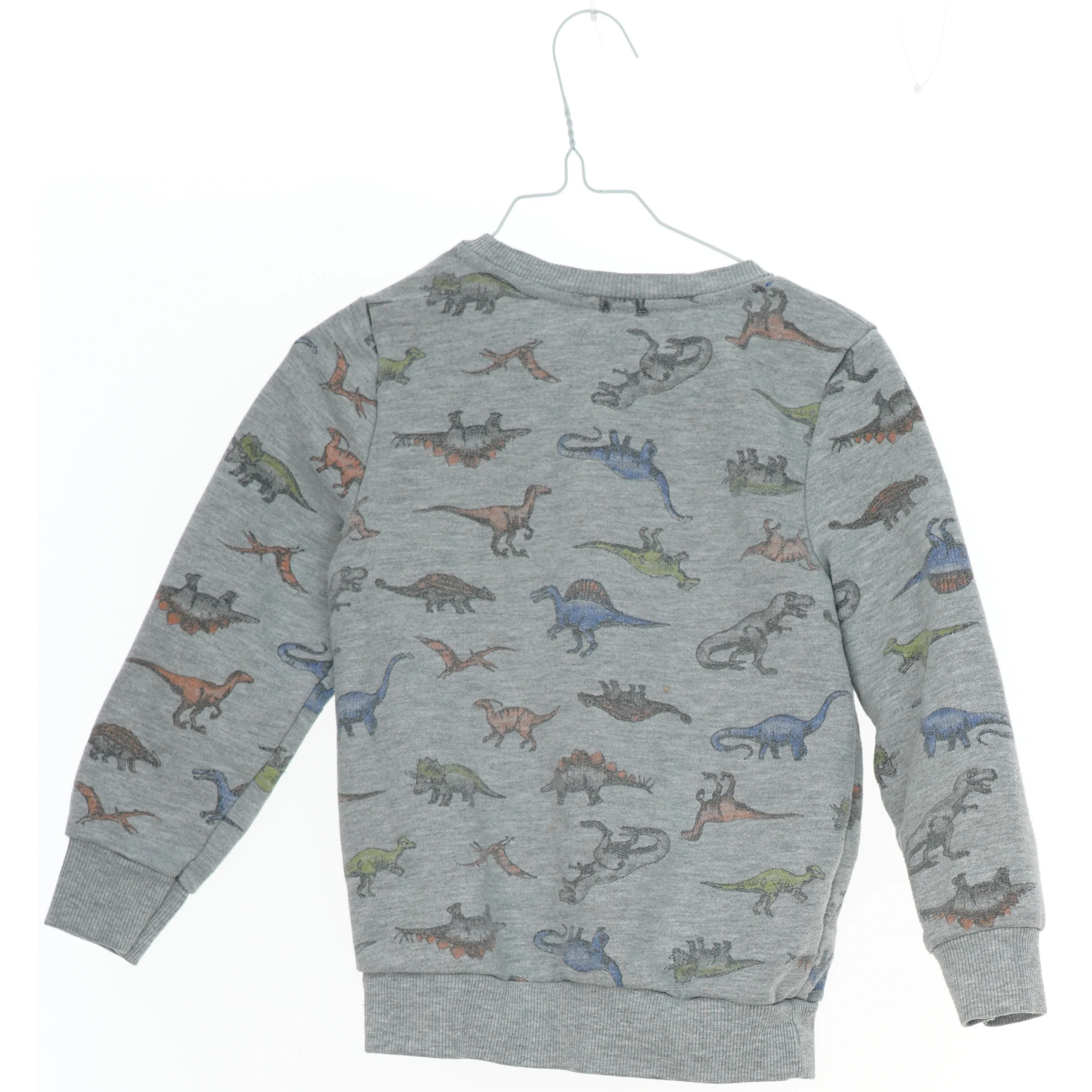 Børne sweatshirt med dinosaur print (str. 116)