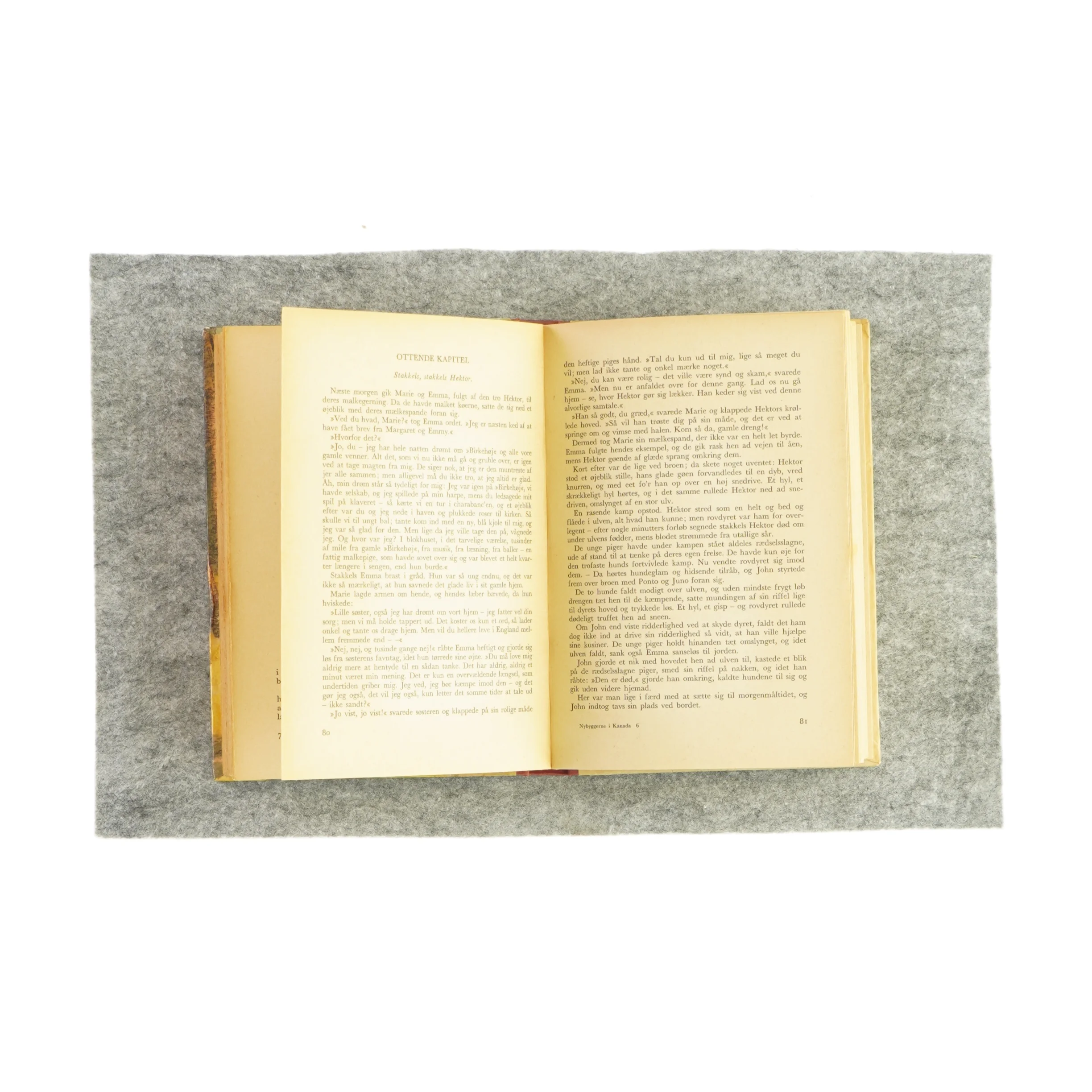 Nybyggerne i Kanada af Chr. Eriksen (Bog)