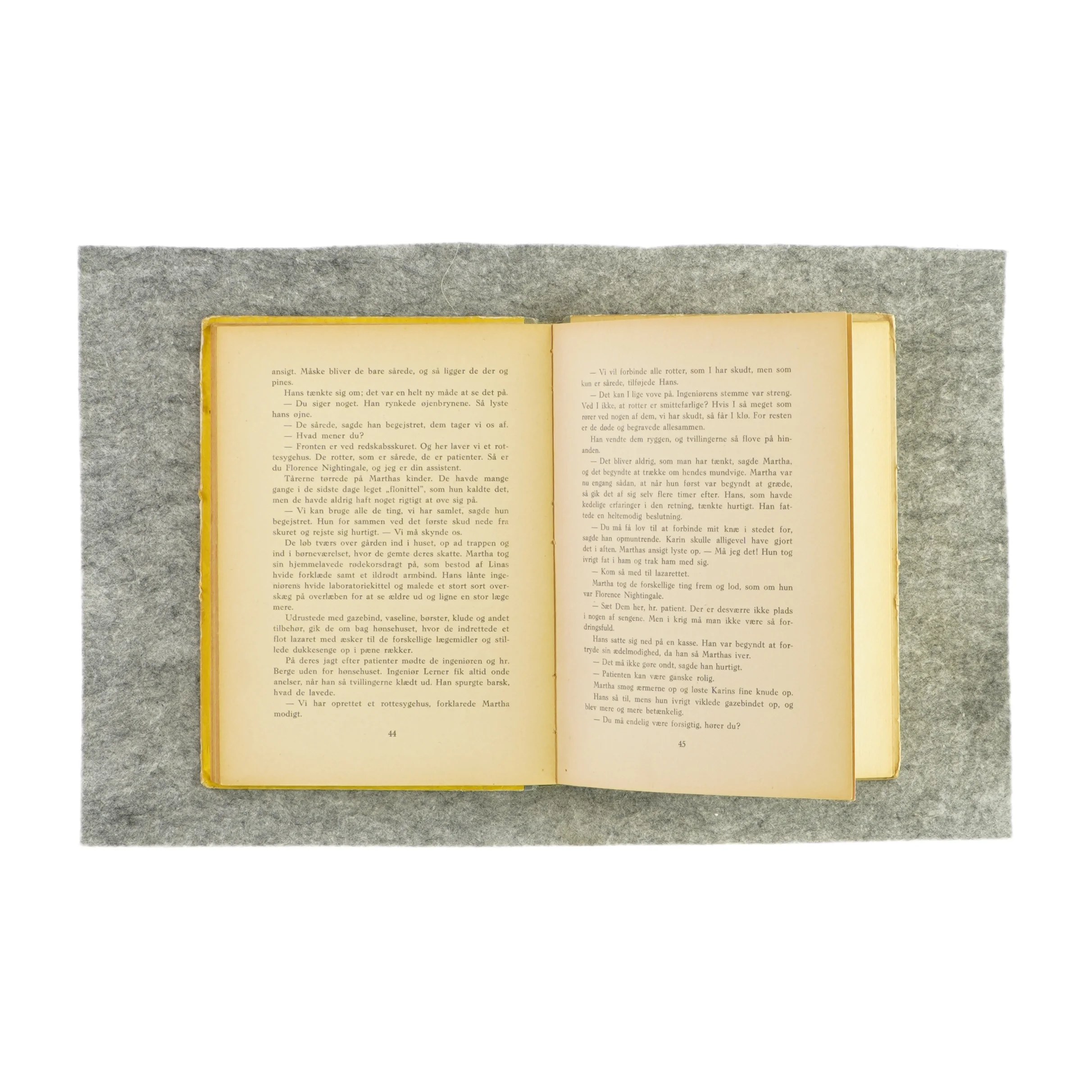 Tvillingerne er vilde af Birgitta Bohman (Bog)