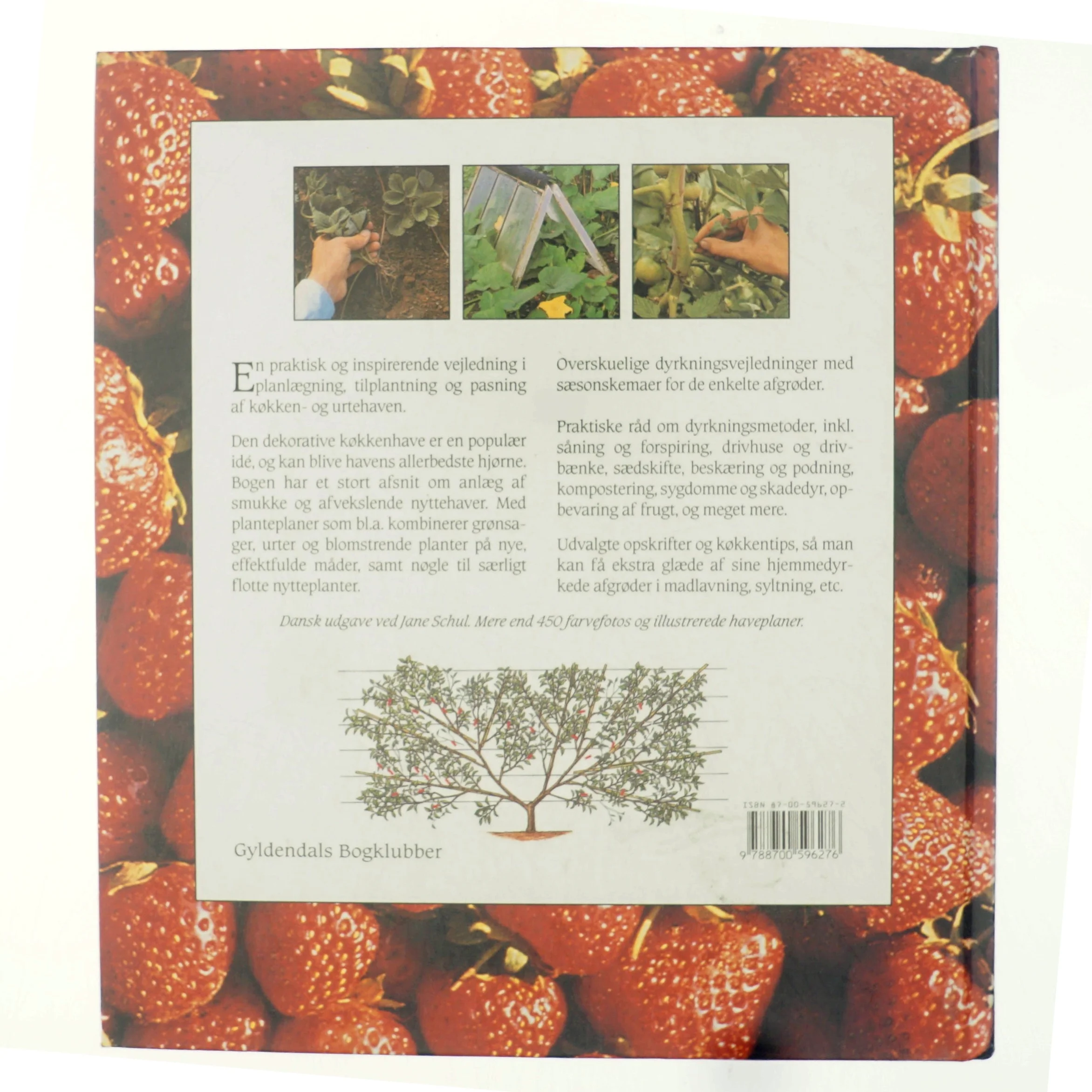 Køkken- & urtehaven af Anna Pavord (Bog)