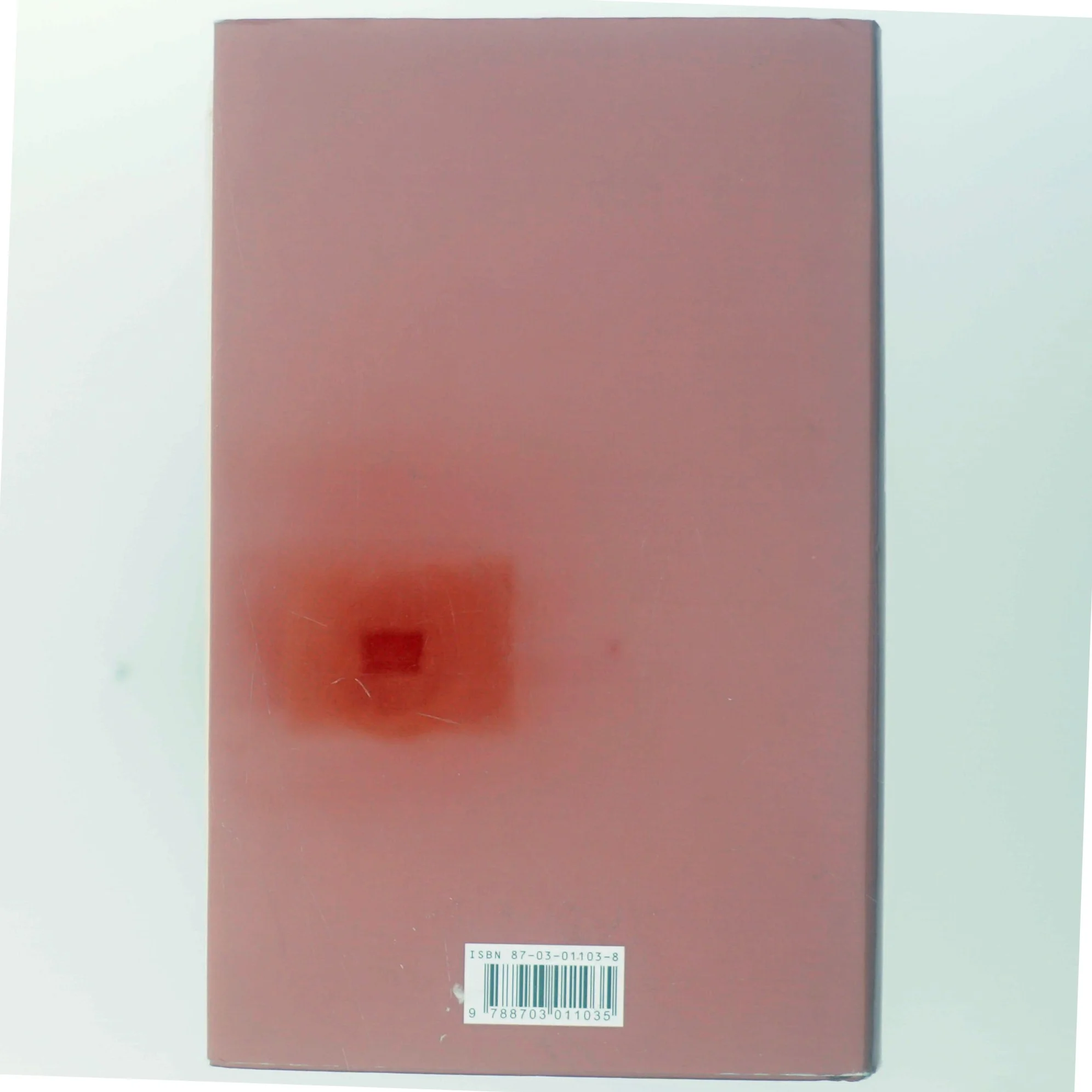 Indtil jeg finder dig af John Irving (Bog)