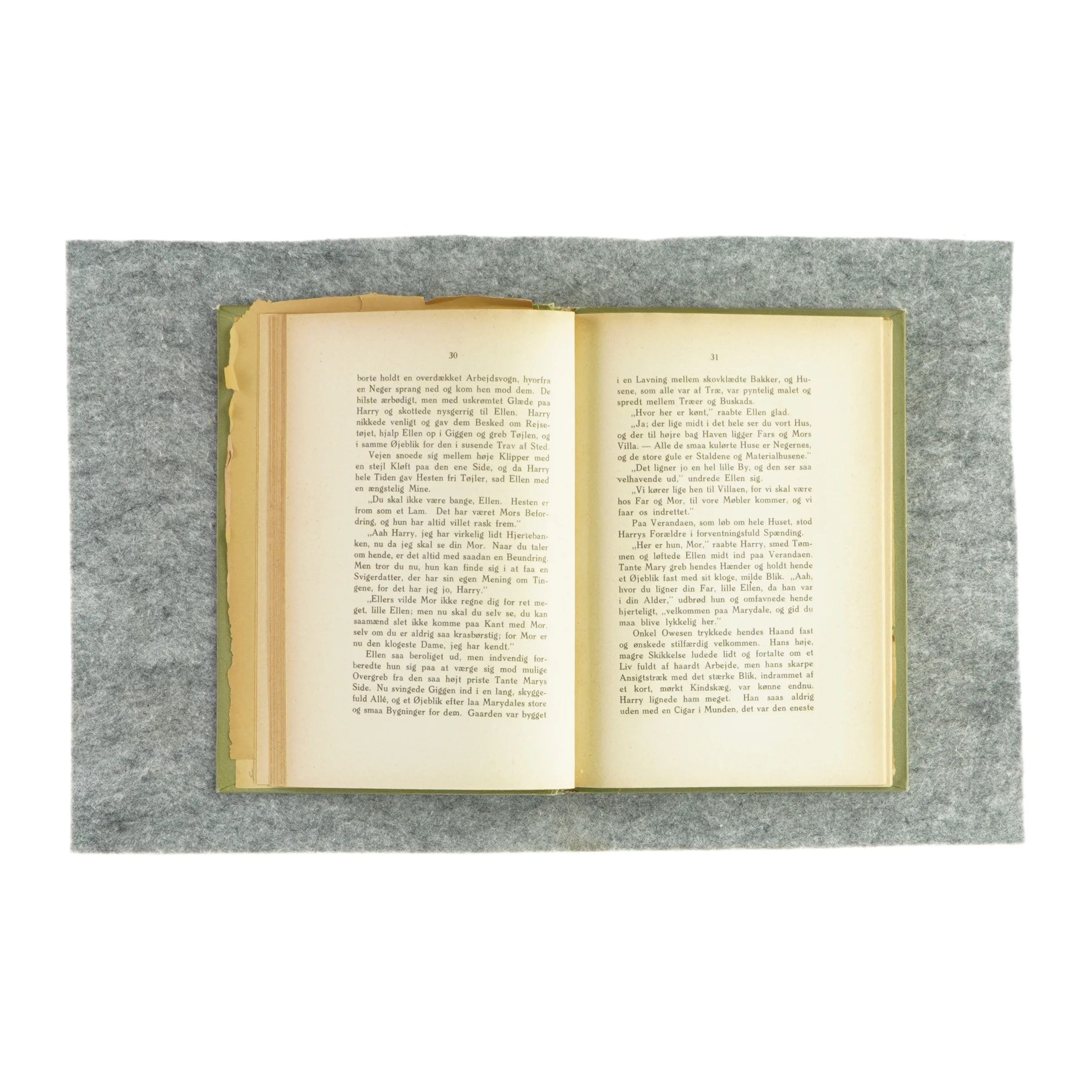 Ellen spaar men Tante raa'r af Helene Hørlyøk (bog)