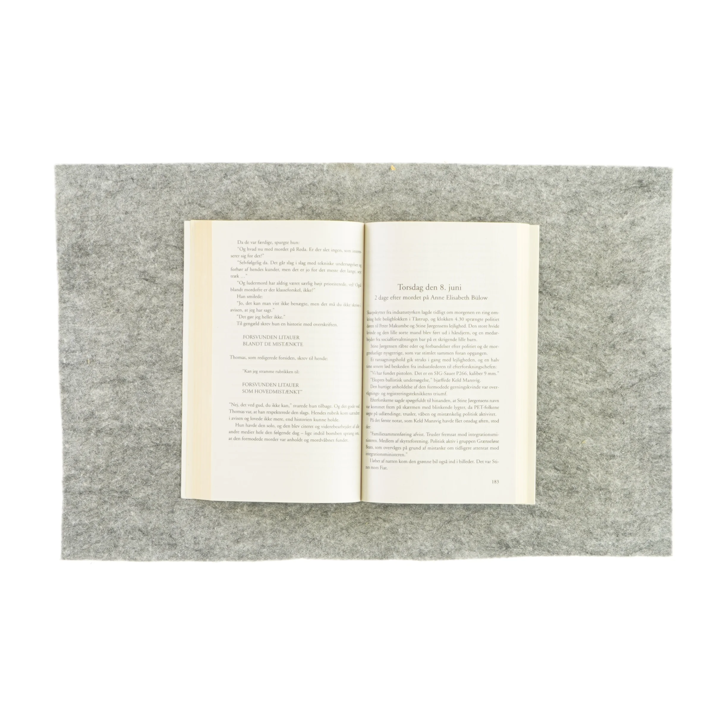 Nedtælling til mord af Gretelise Holm (bog)