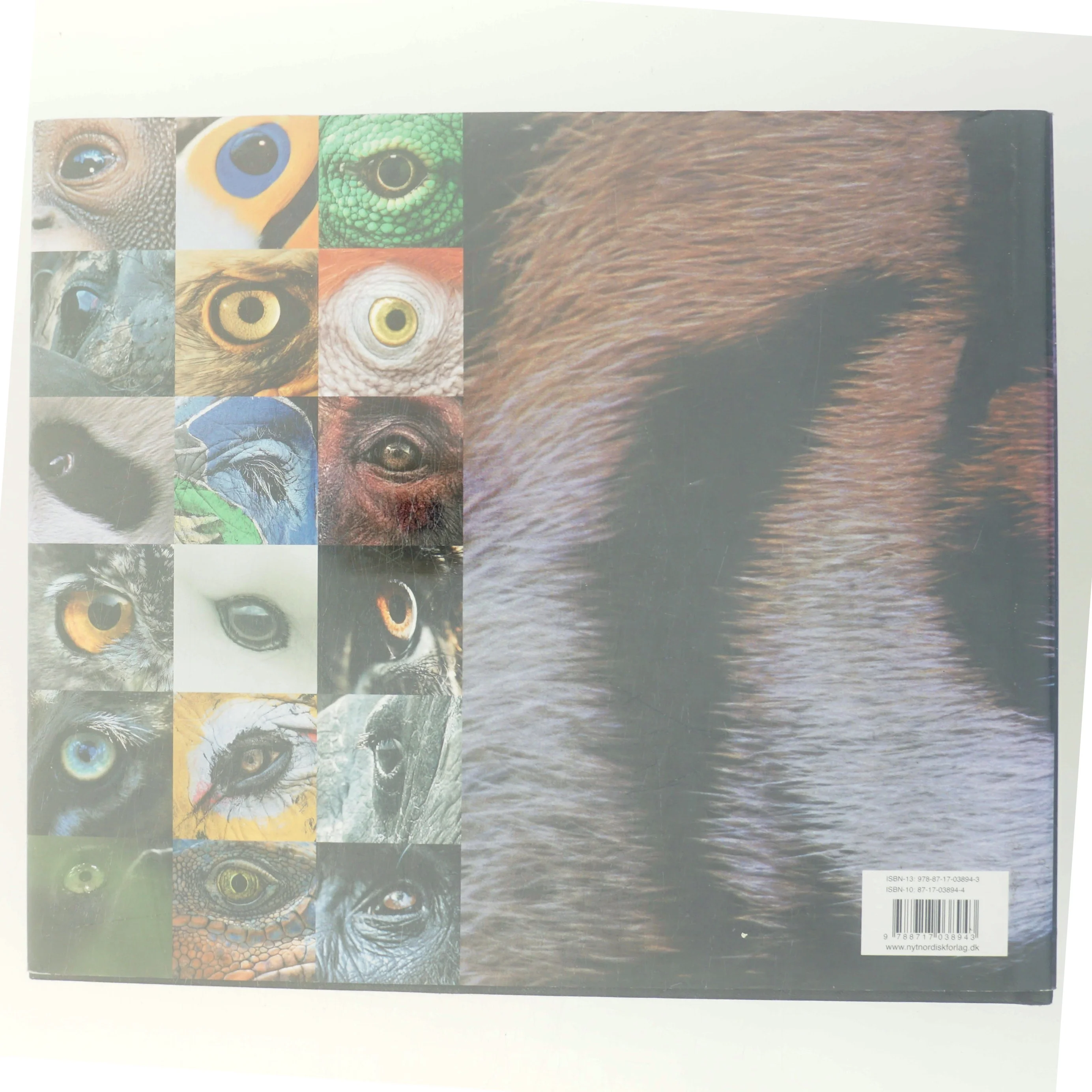 Helt vildt af Steve Bloom (f. 1953) (Bog)