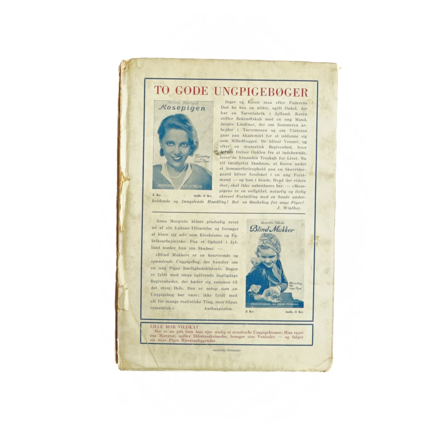 Lille mor vildkat af Emmy V. Rhoden (Bog)