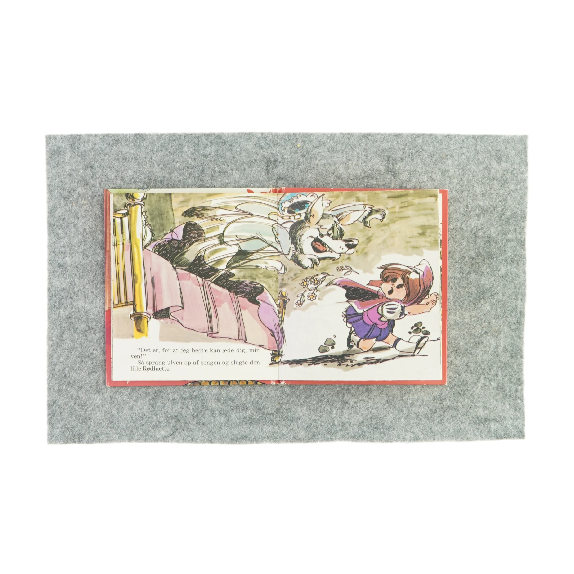 Den lille Rødhætte (bog)