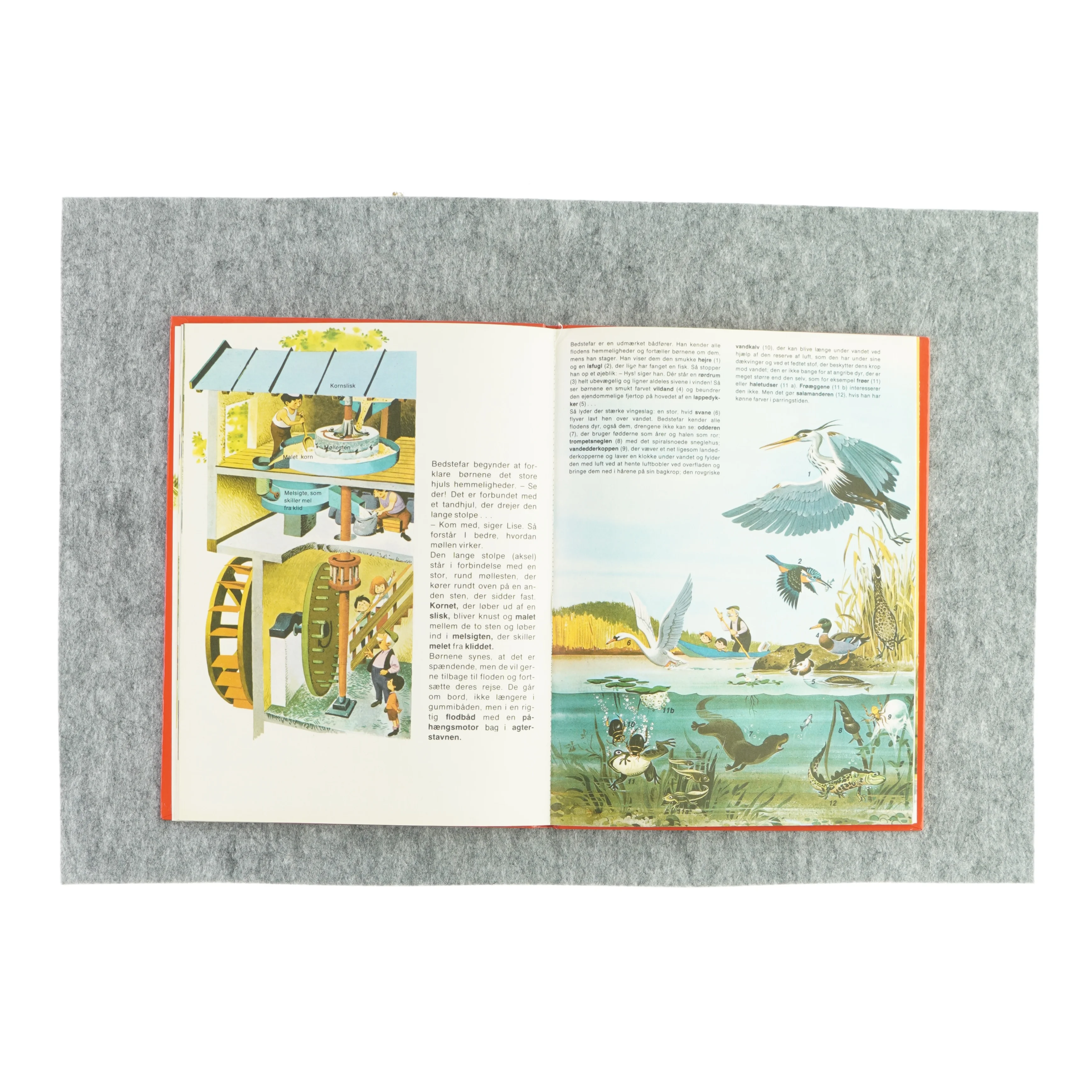 Hvad kan man opleve på floden? (bog)