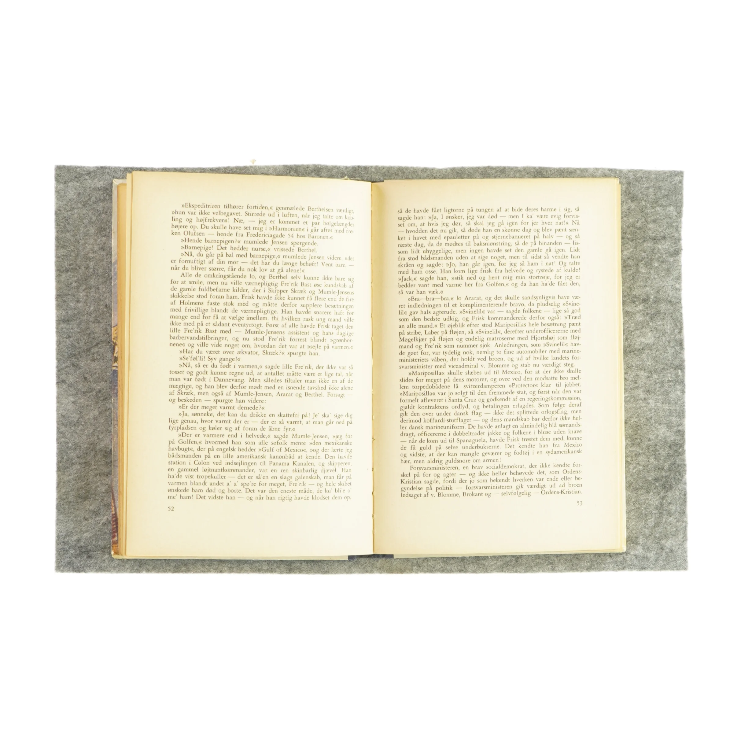 Frisk og laber af Cai Schaffalitzky De Muckadell (Bog)