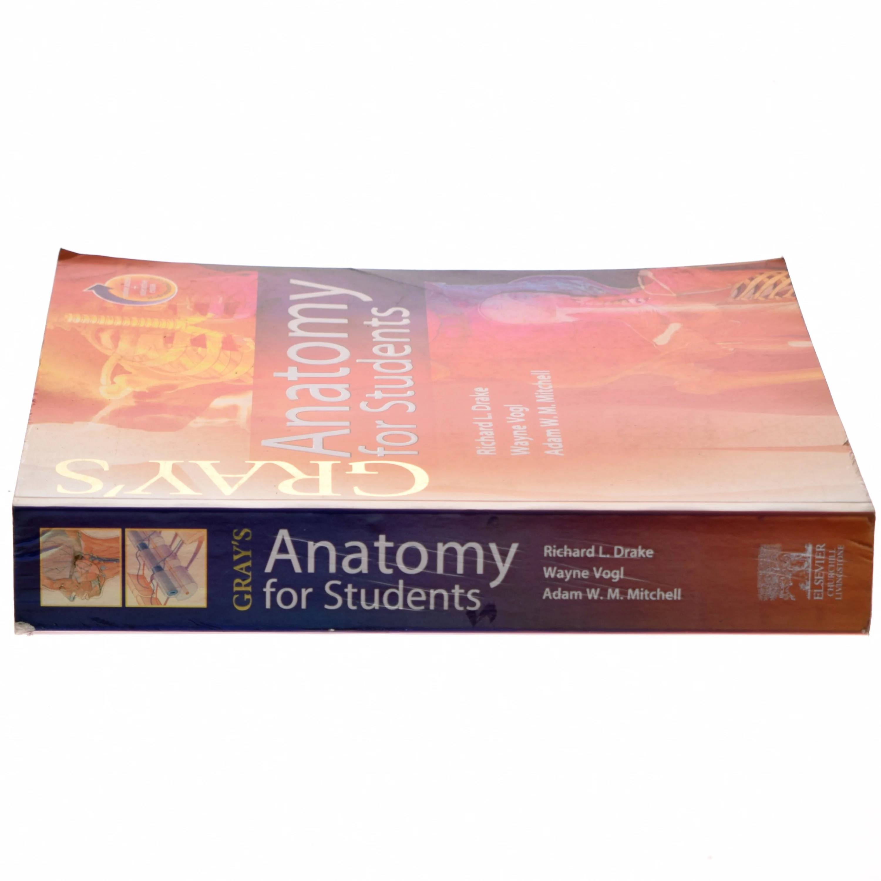 Gray's anatomy for students (Bog)