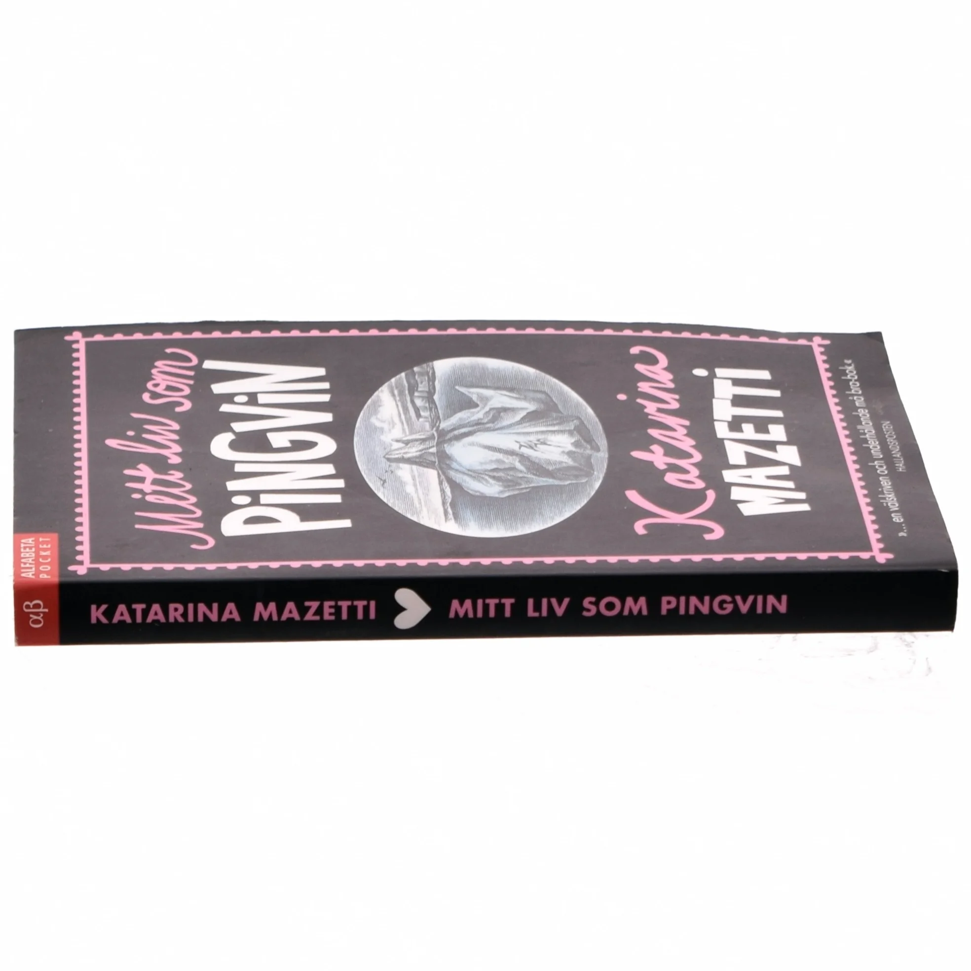 Mitt liv som pingvin af Katarina Mazetti (Bog)