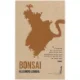 Bonsai af Alejandro Zambra (f. 1975) (Bog)