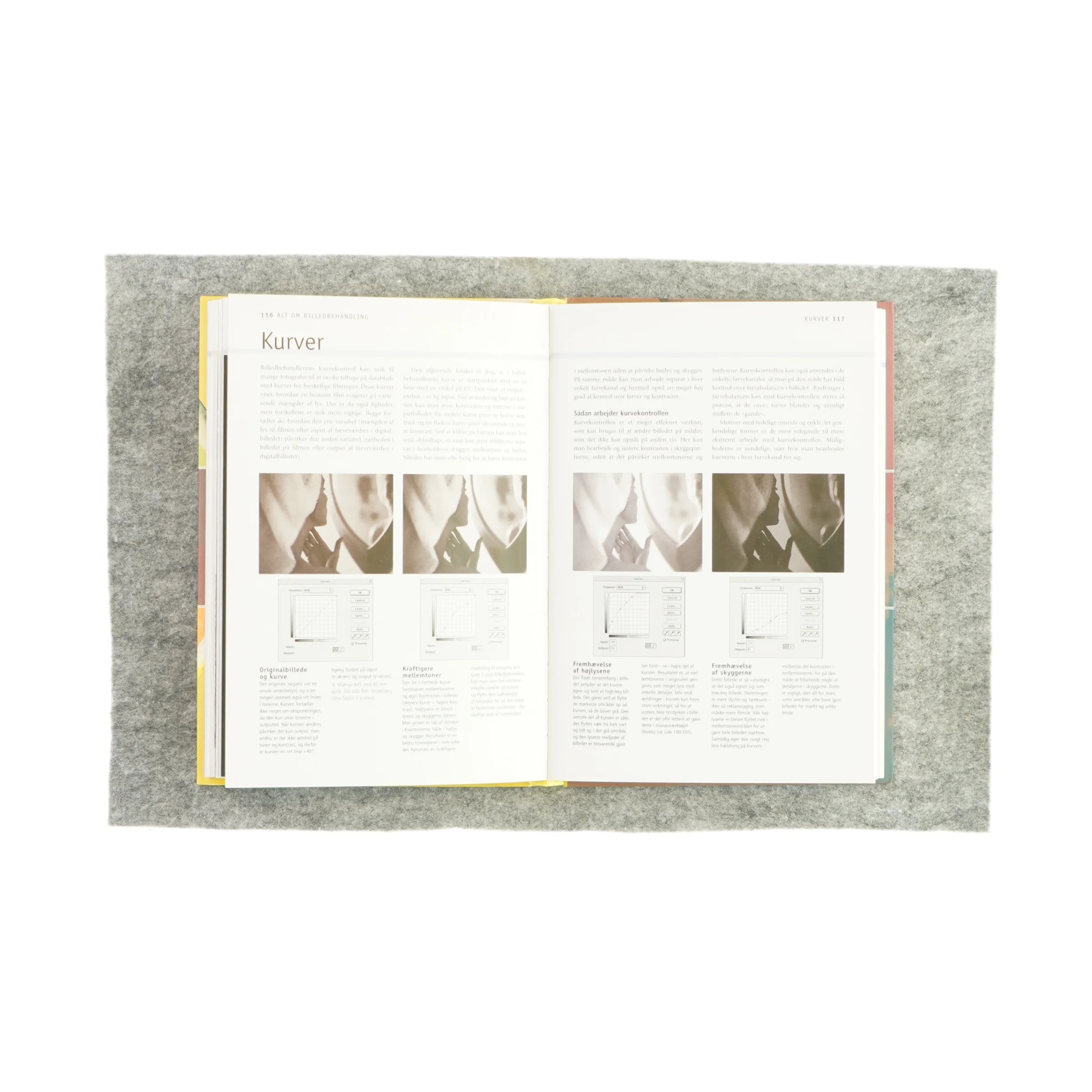 Guide til digital foto af Tom Ang (Bog)