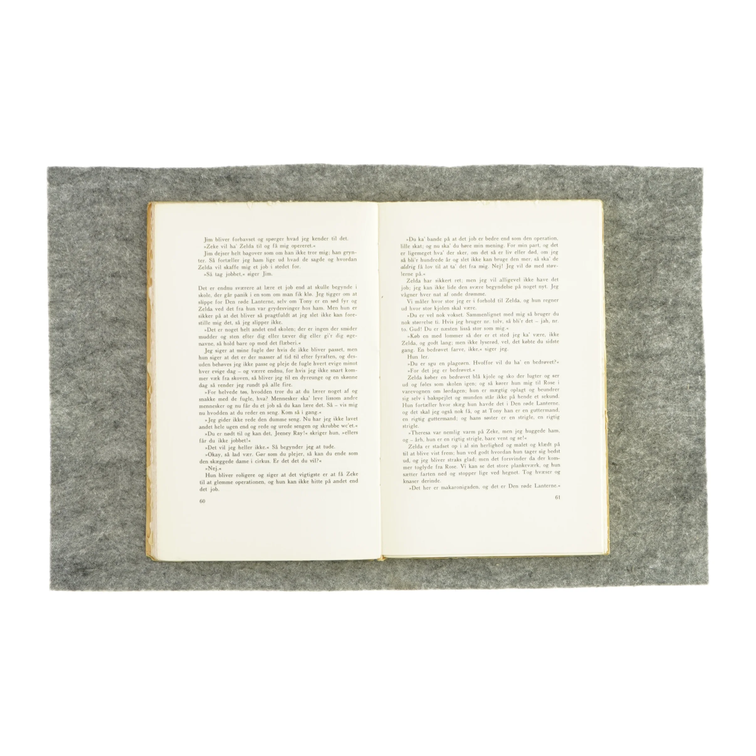 Pigen Jeeney af Iris Dornfeld (Bog)