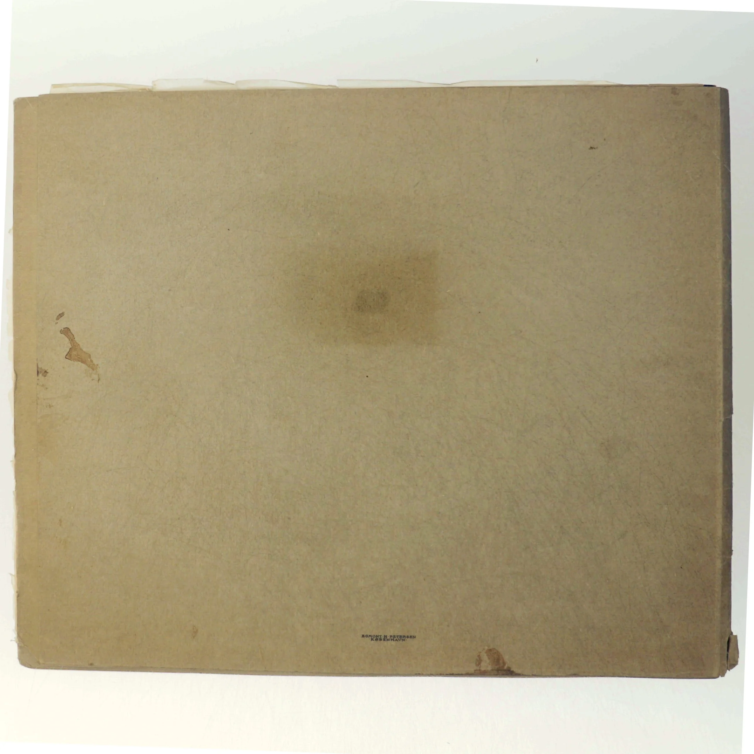 'Vor Tids Vidundere' bog