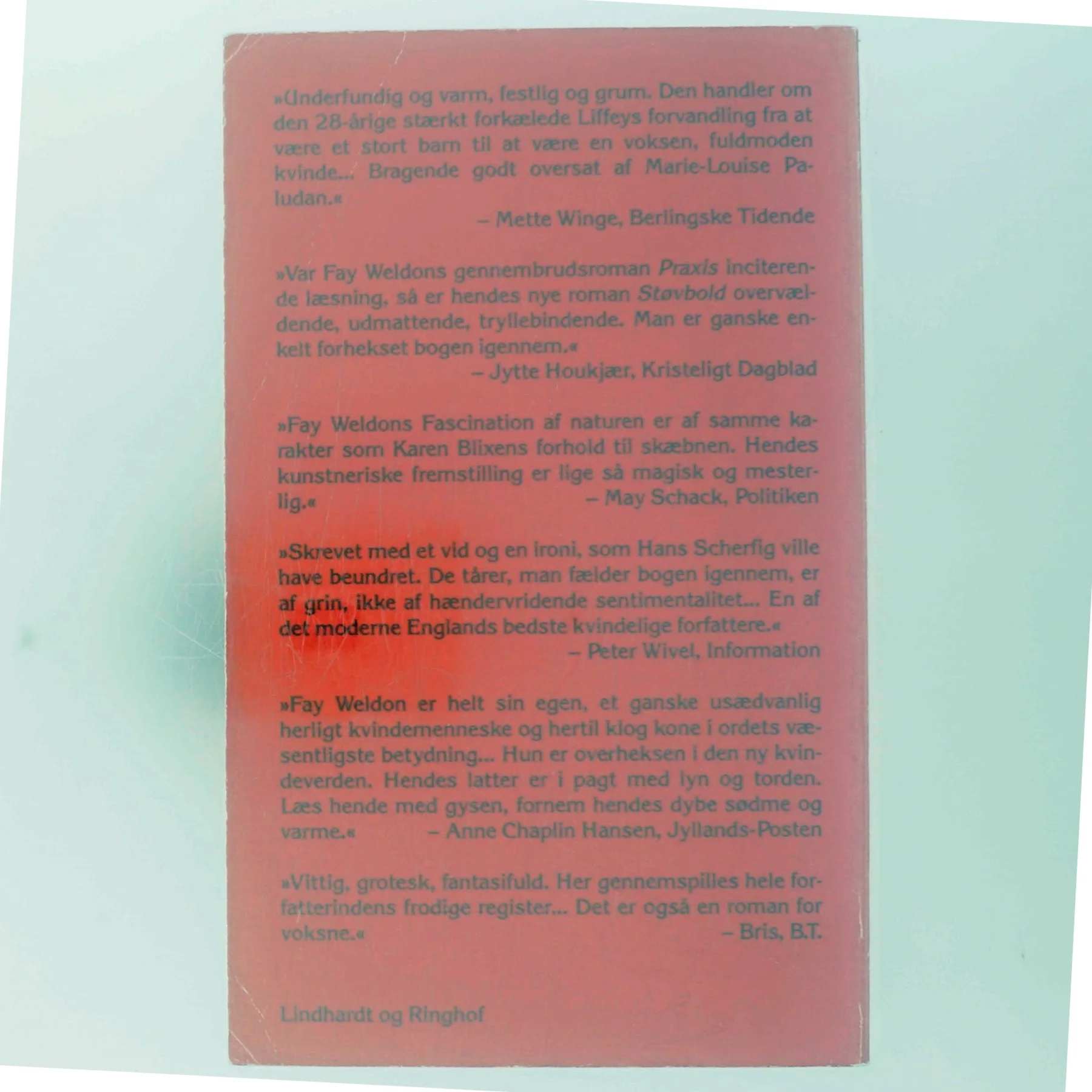 Støvbold af Fay Weldon (Bog)