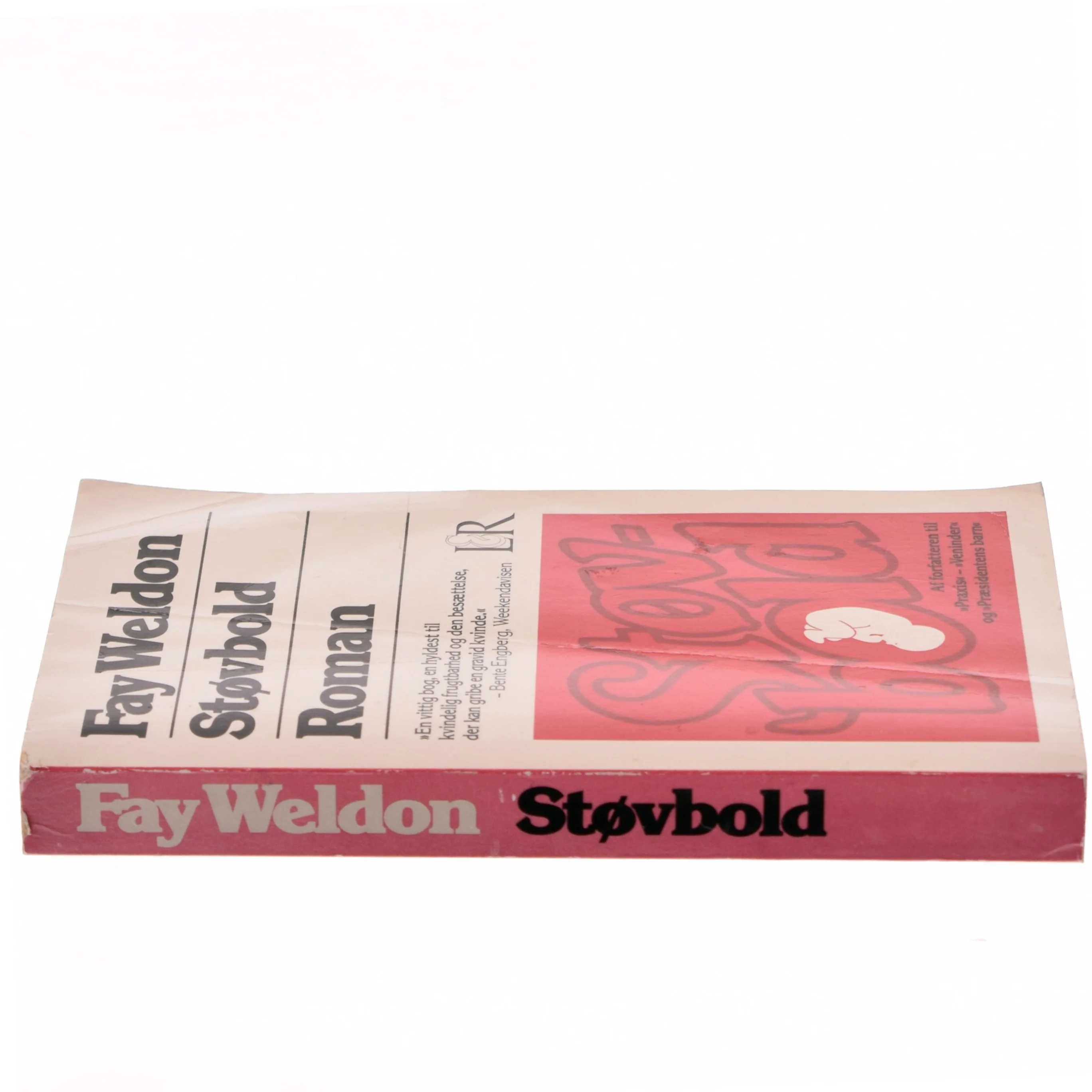 Støvbold af Fay Weldon (Bog)