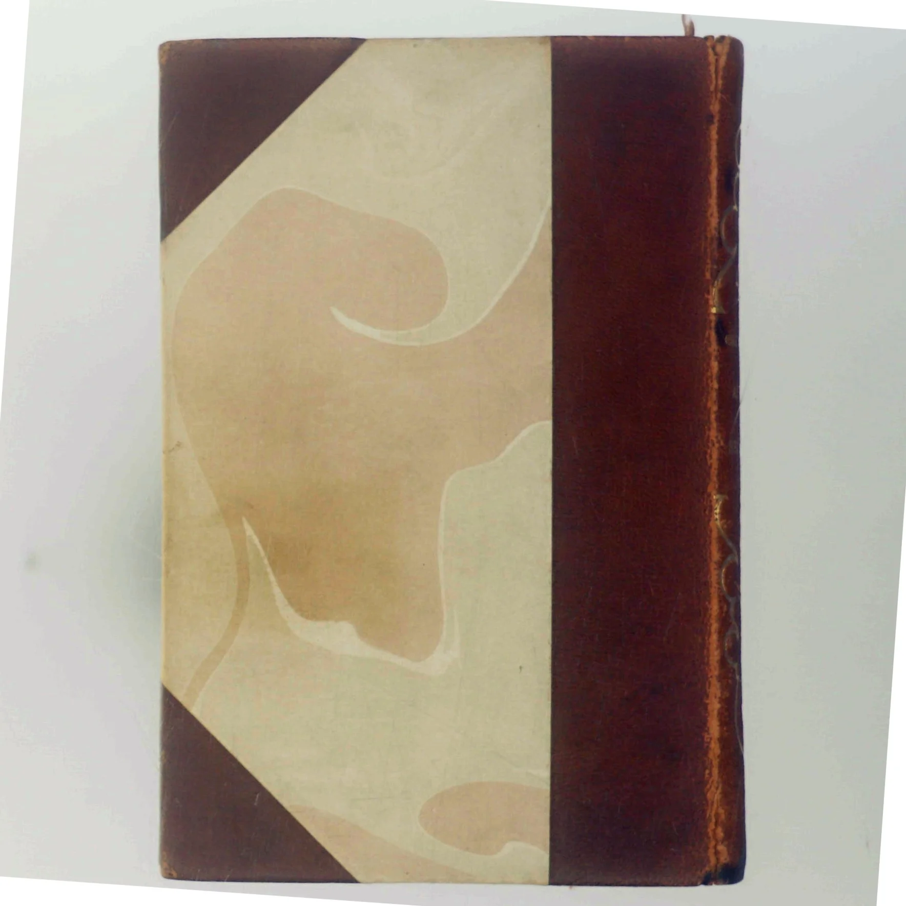 Arvingen til Redeløvenæs (Bog)