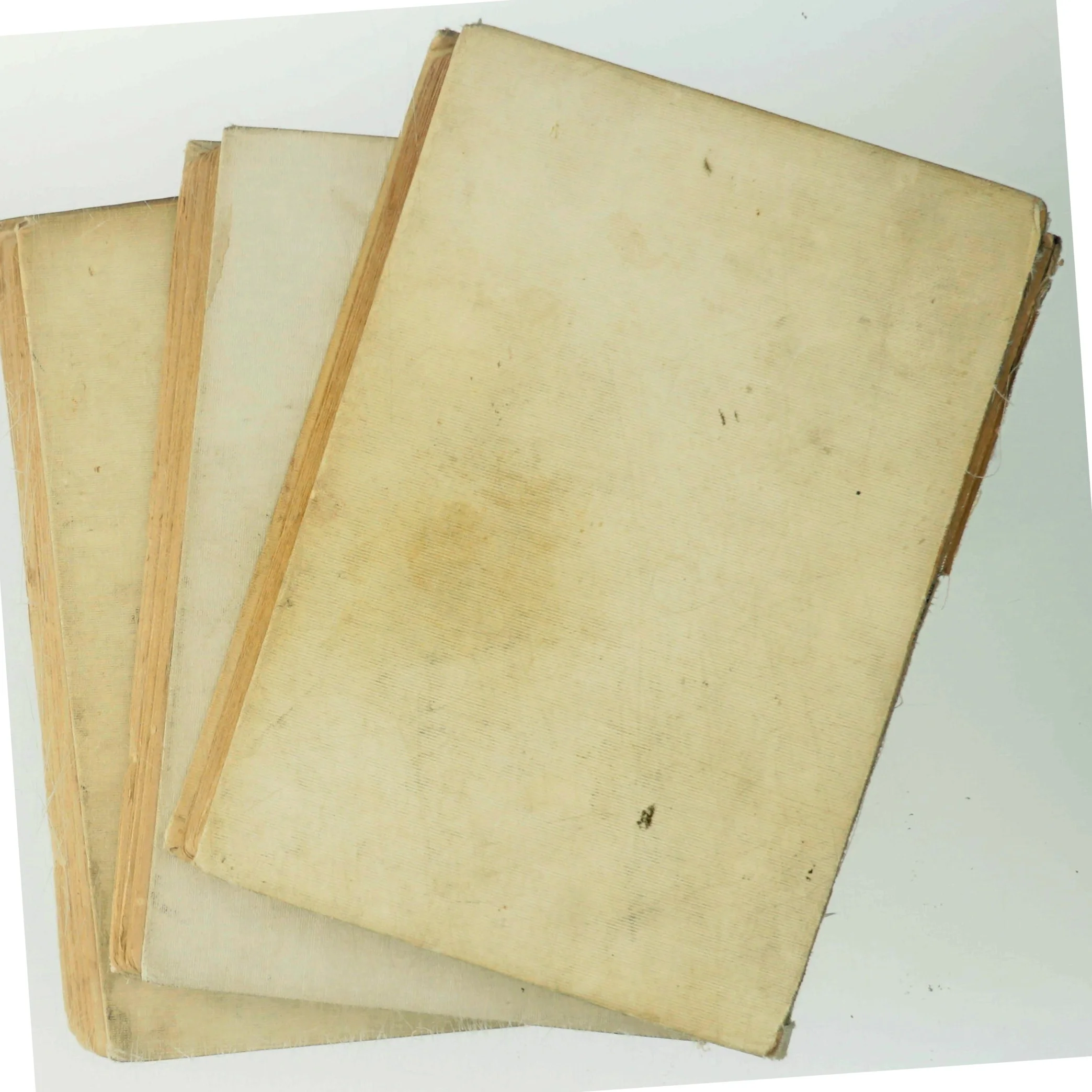 Anne Lise af Ingeborg Vollquartz (Bog)