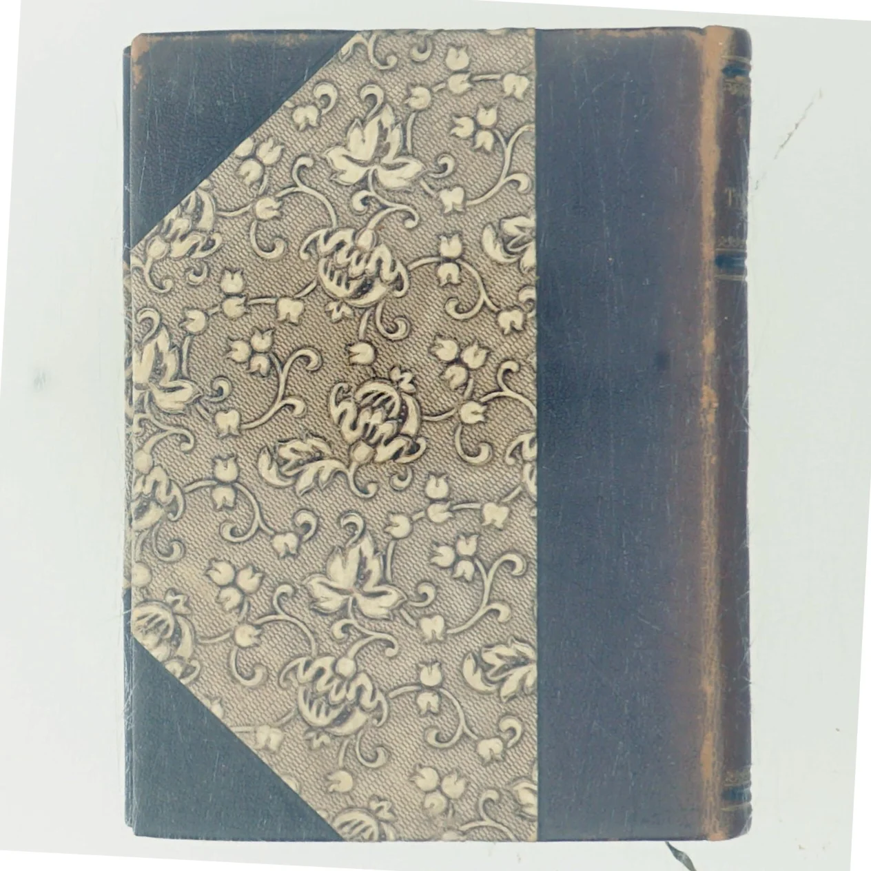 Fraetuglene af St. Blicher (Bog)