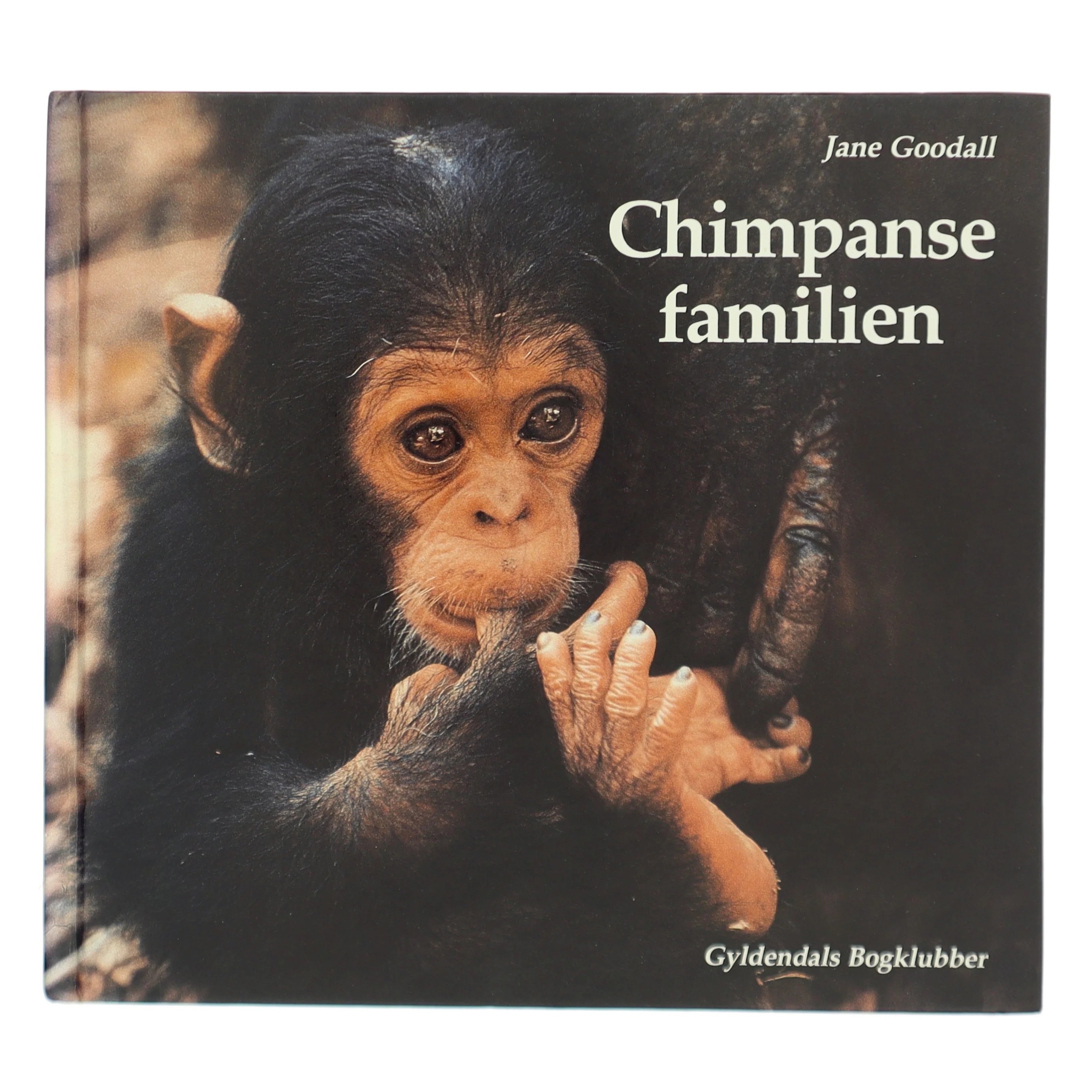 Chimpansefamilien af Jane Goodall (Bog)