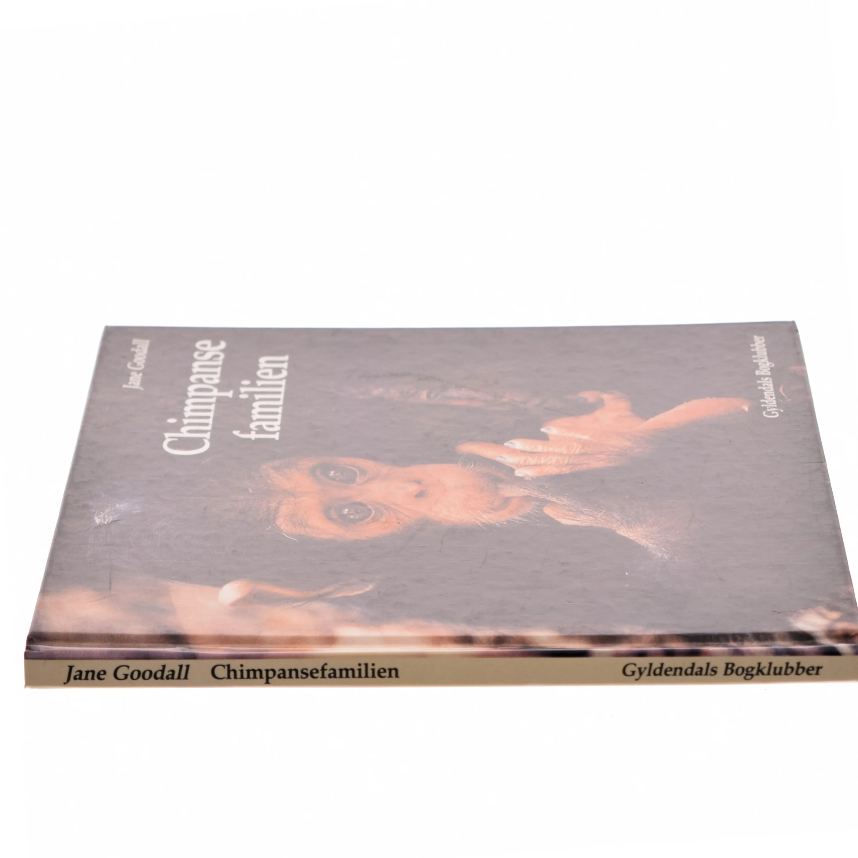 Chimpansefamilien af Jane Goodall (Bog)