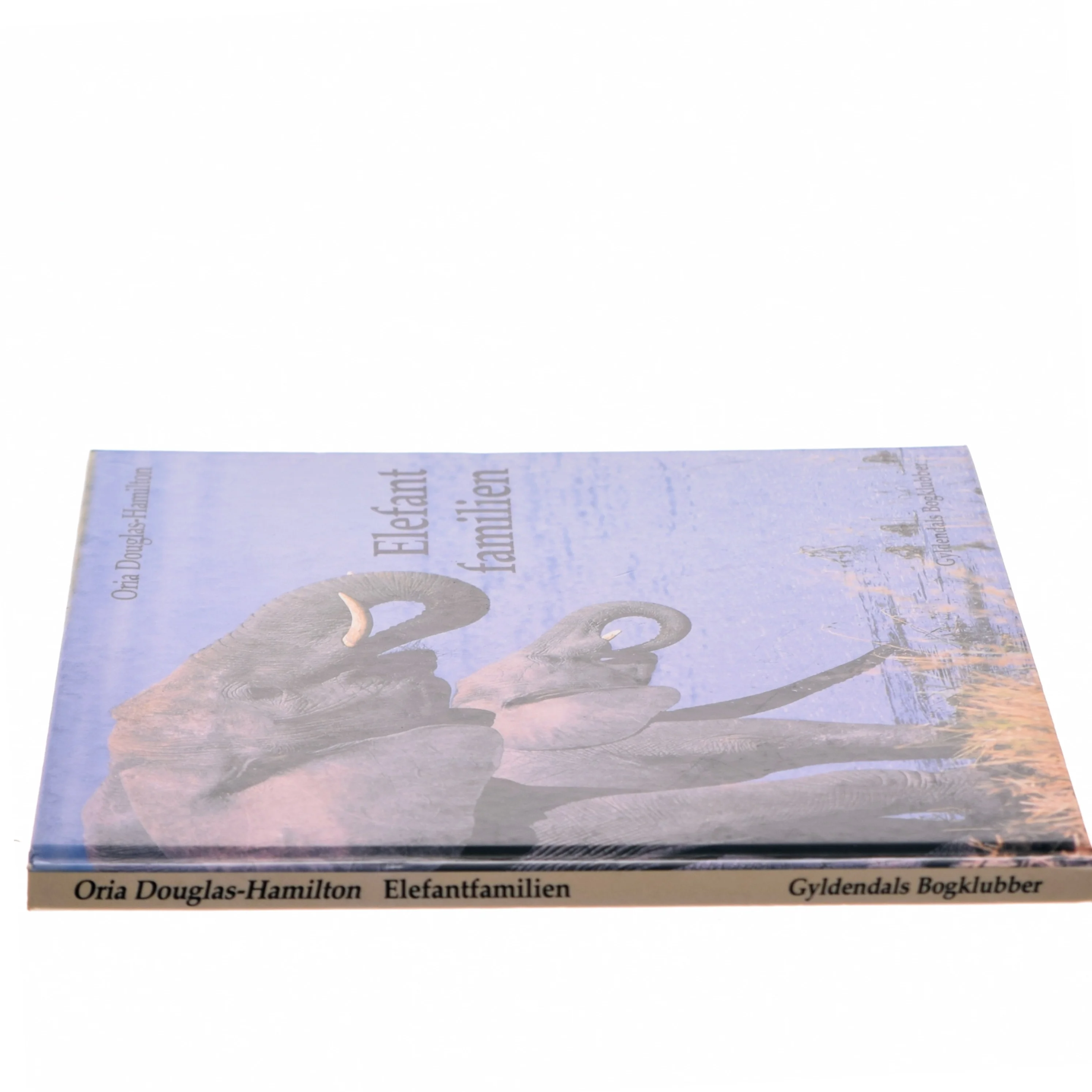 Elefantfamilien af Oria Douglas-Hamilton (Bog)