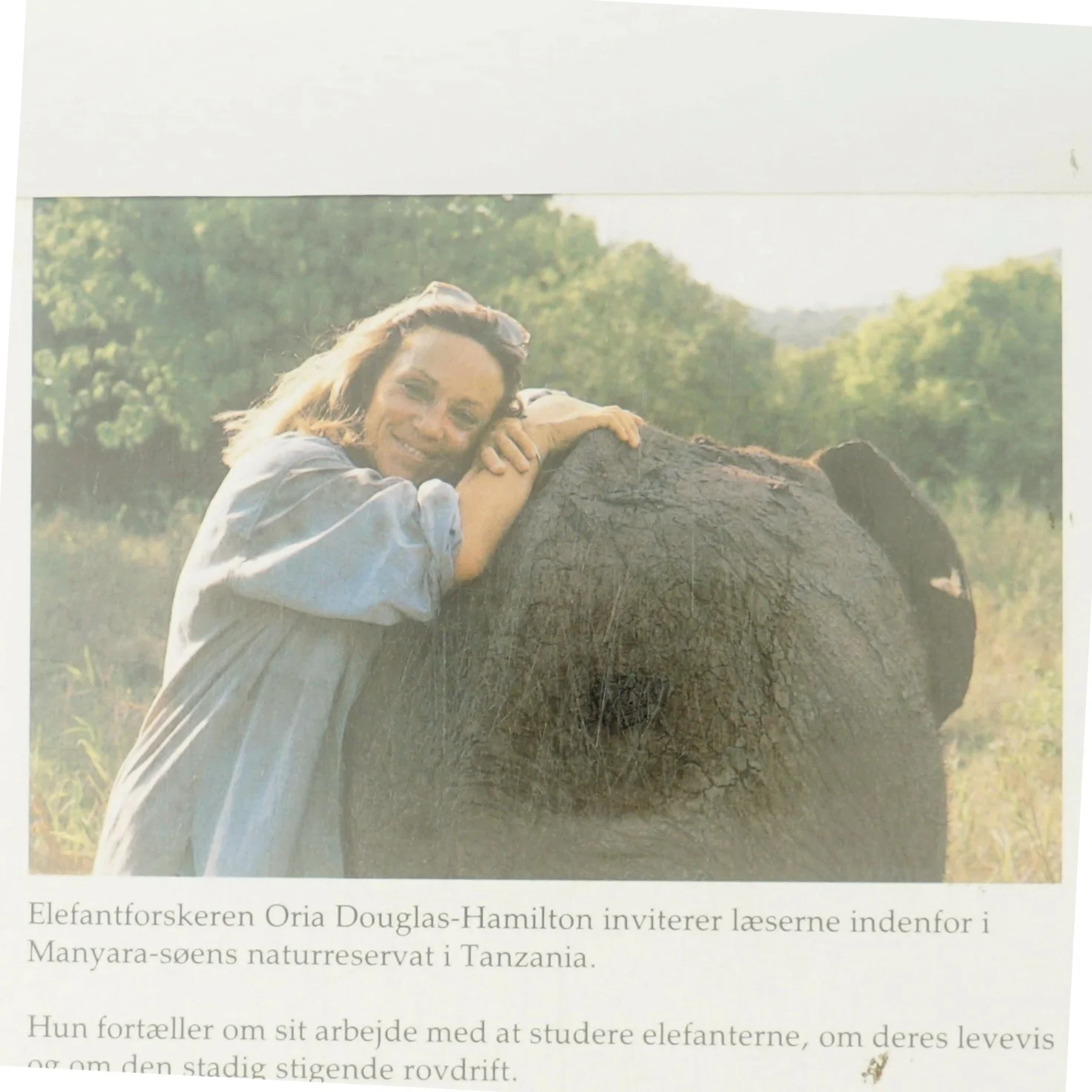 Elefantfamilien af Oria Douglas-Hamilton (Bog)