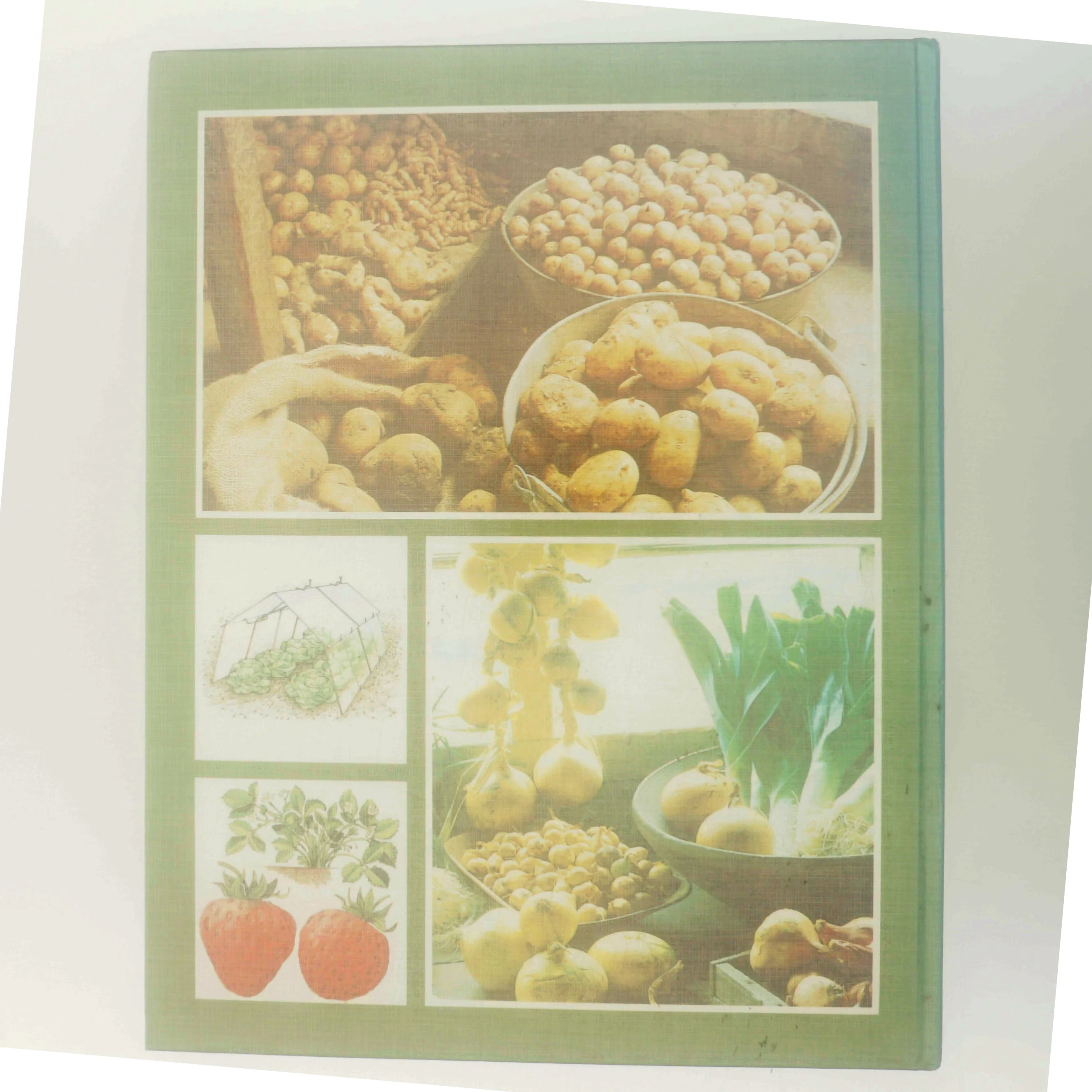 Få glæde af køkkenhaven (Bog)