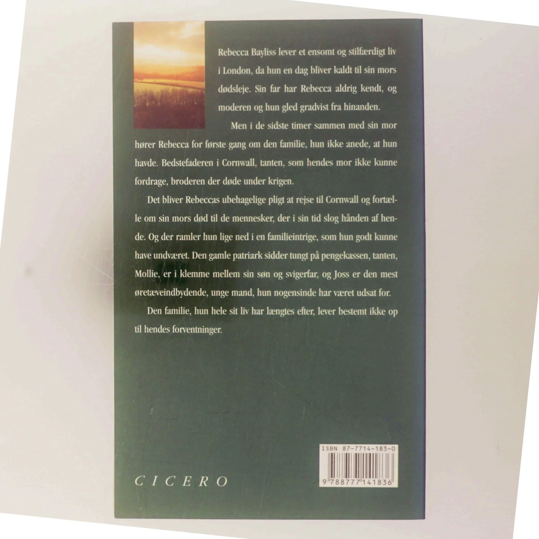 Før stormen af Rosamunde Pilcher (Bog)