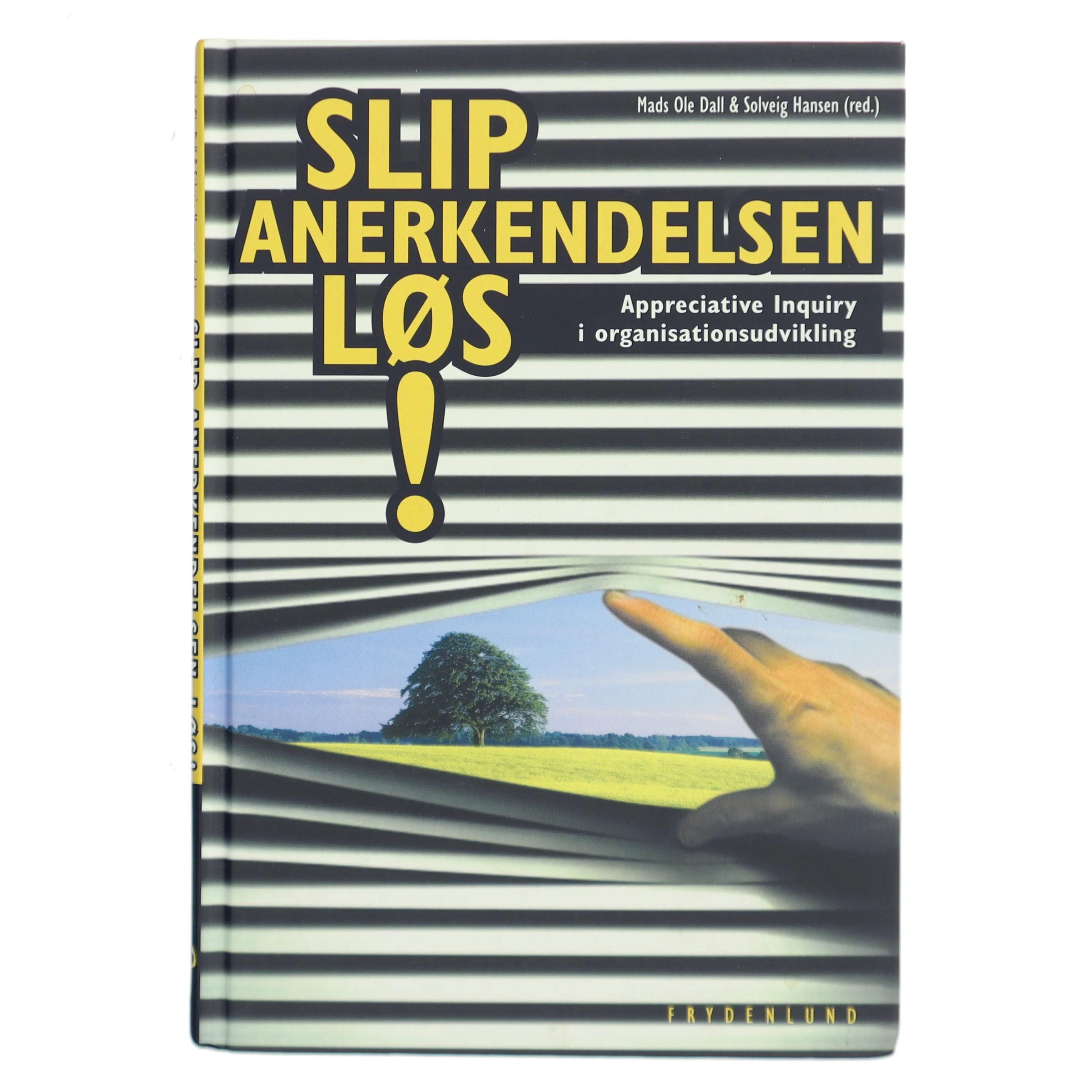 Slip anerkendelsen løs! : appreciative inquiry i organisationsudvikling af Mads Ole Dall (Bog)