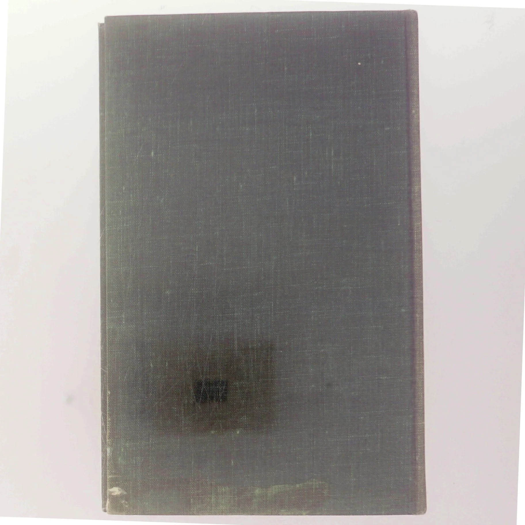 Rolig Tiger af Bent William Rasmussen (Bog)