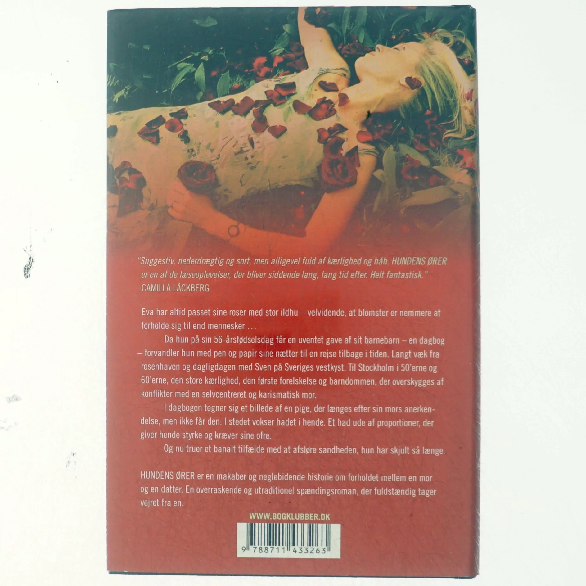 Hundens ører af Maria Ernestam (Bog)