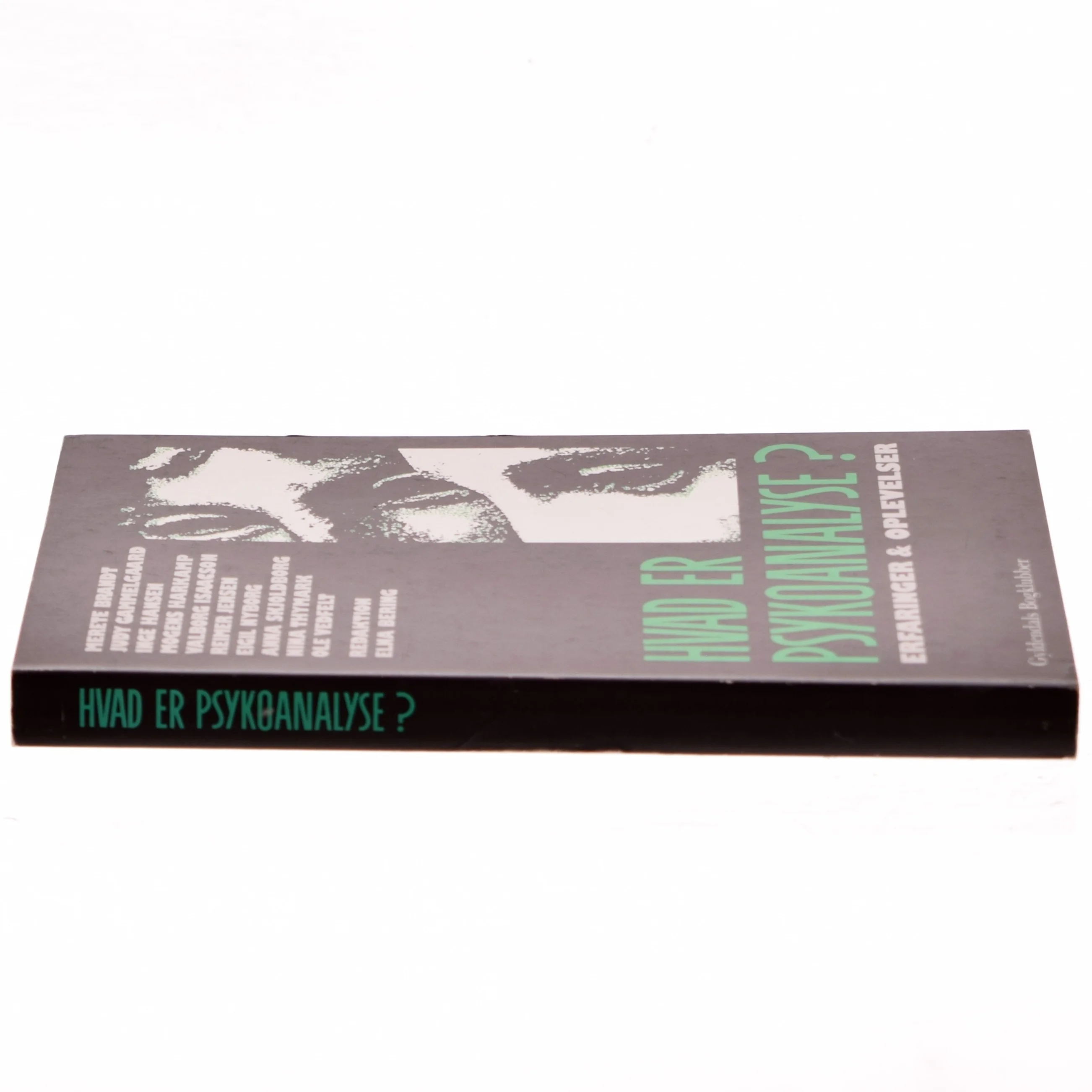 Hvad er psykoanalyse? af Merete Brandt (Bog)