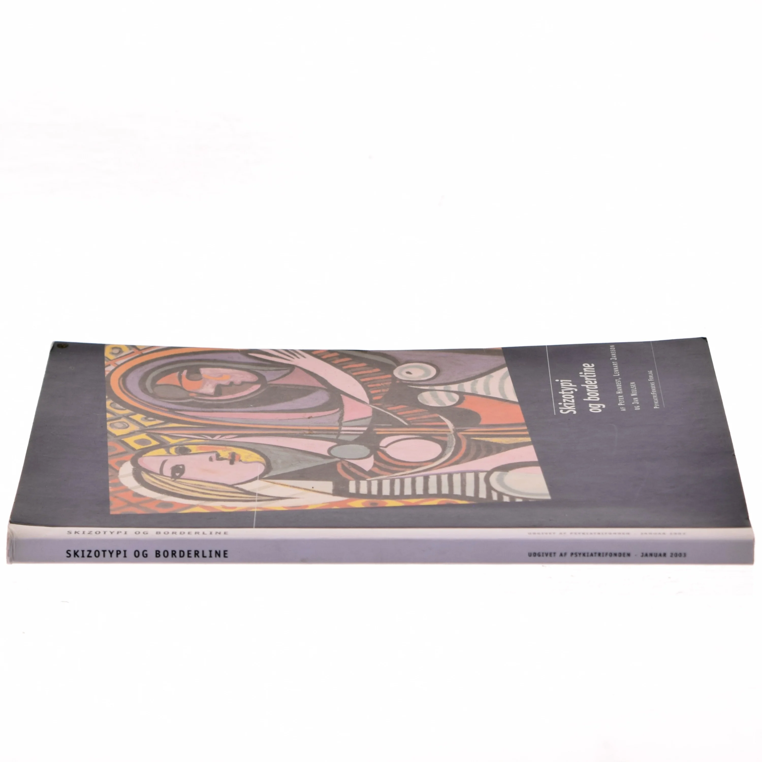 Skizotypi og borderline af Peter Handest (Bog)