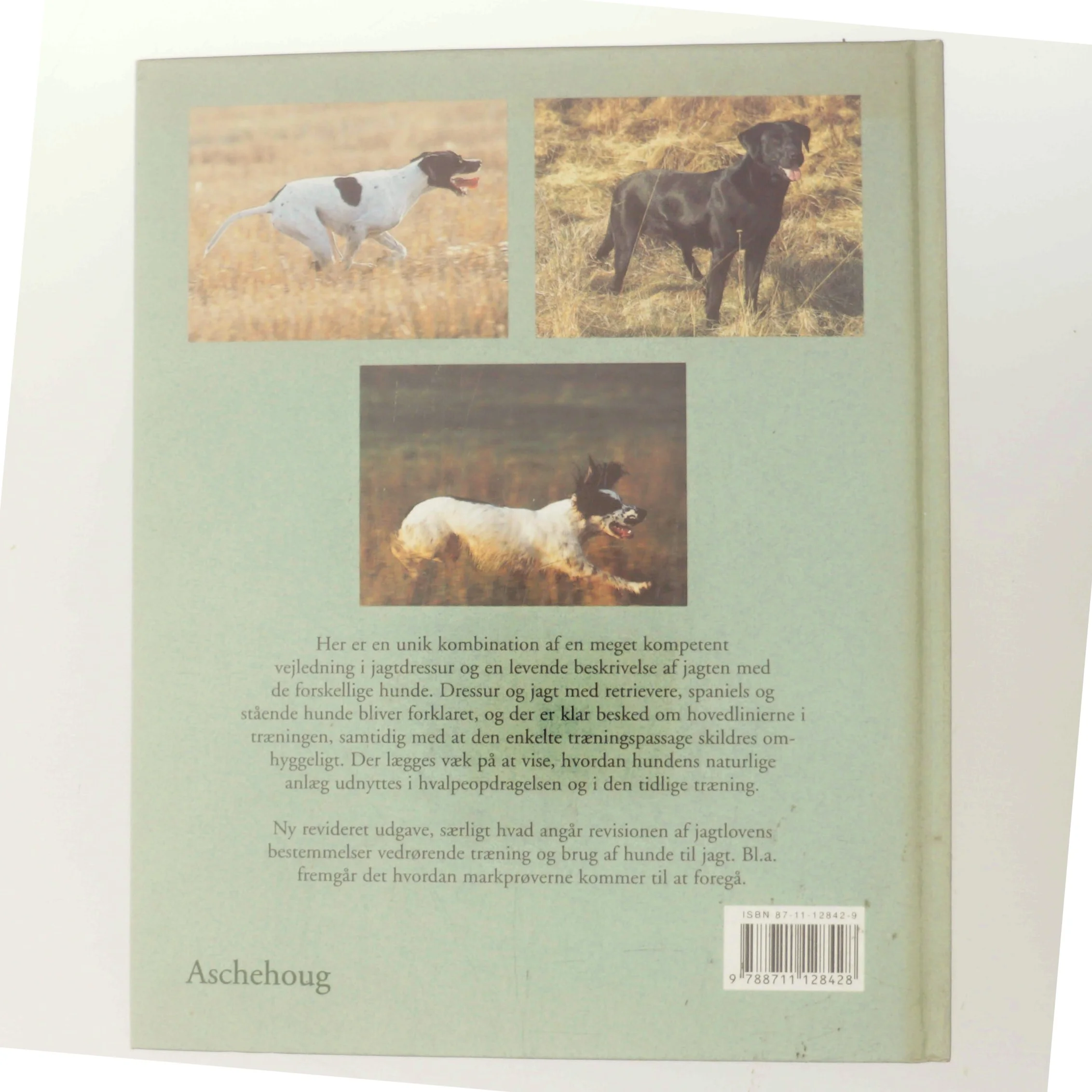 Jagthunde - dressur og jagt : retrievere, spaniels, stående hunde af Sten Christoffersson (Bog)