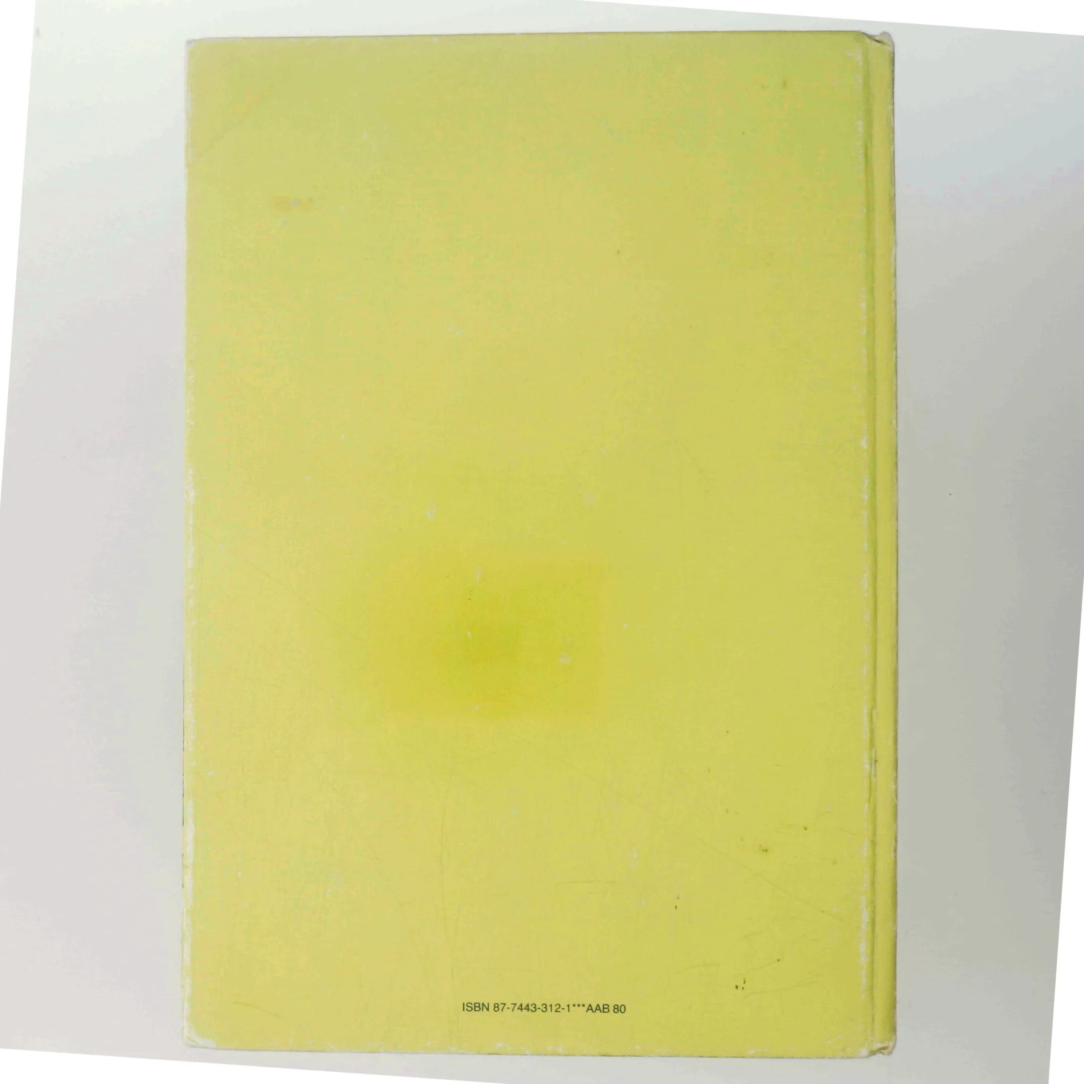 Hiawatha på bjørnejagt af Walt Disney (Bog)