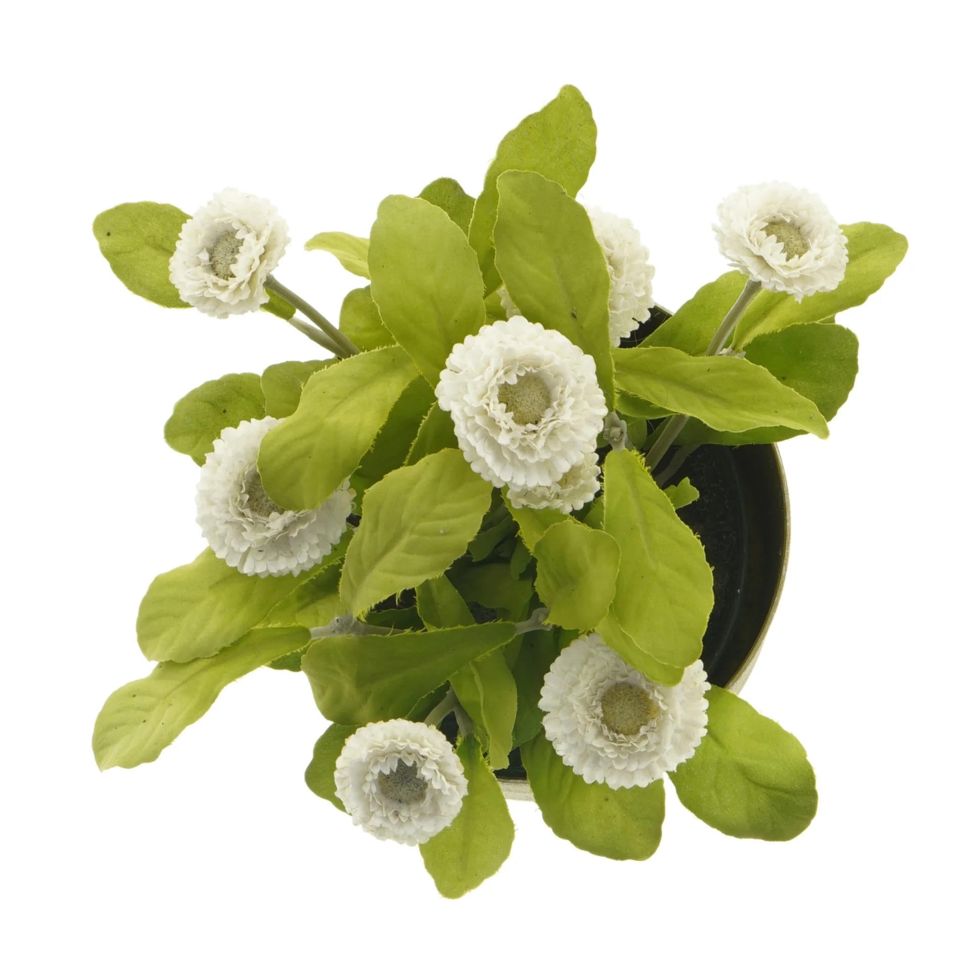 Kunstig plante med potte fra IKEA (str. 12 cm)