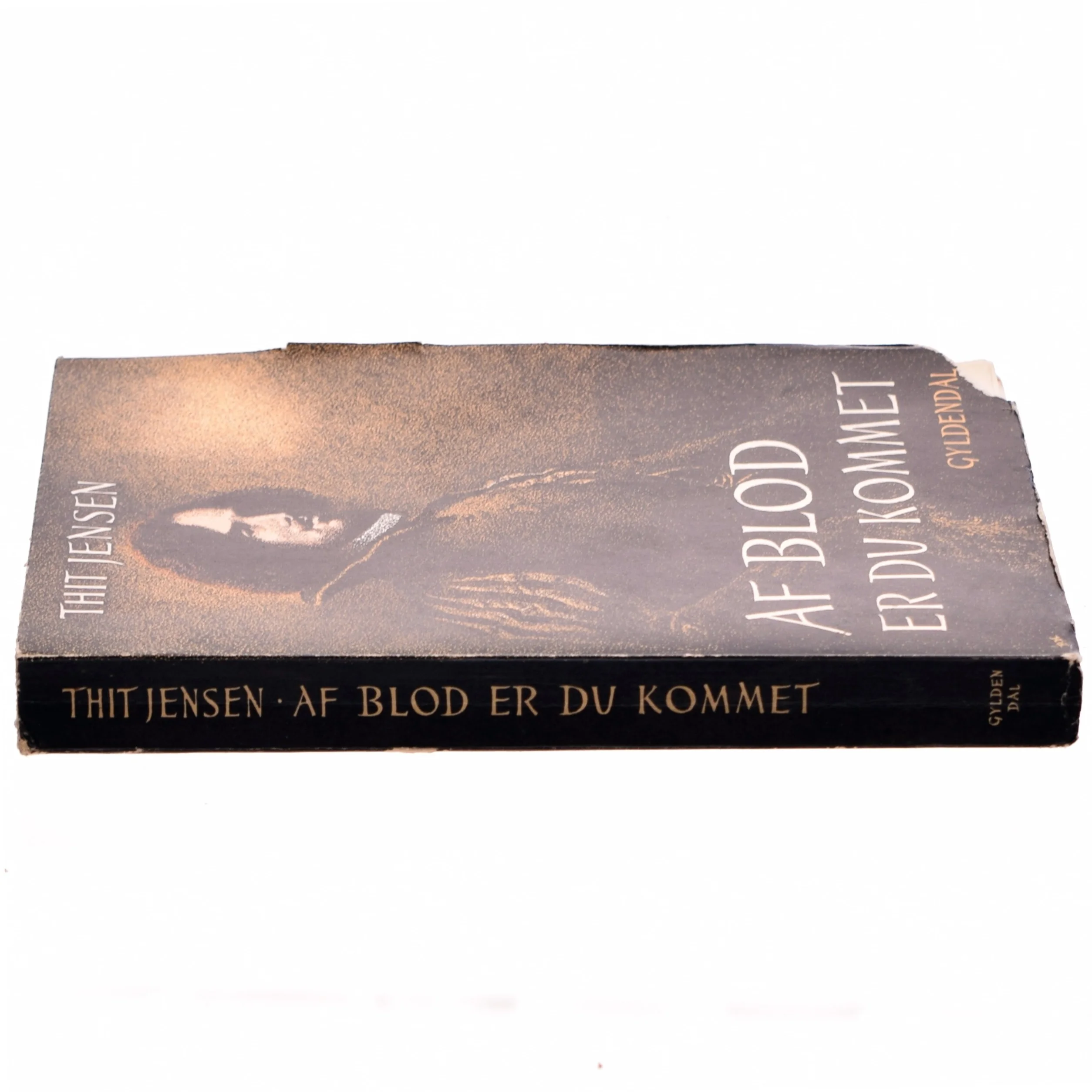 Af blod er du kommet af Thit jensen