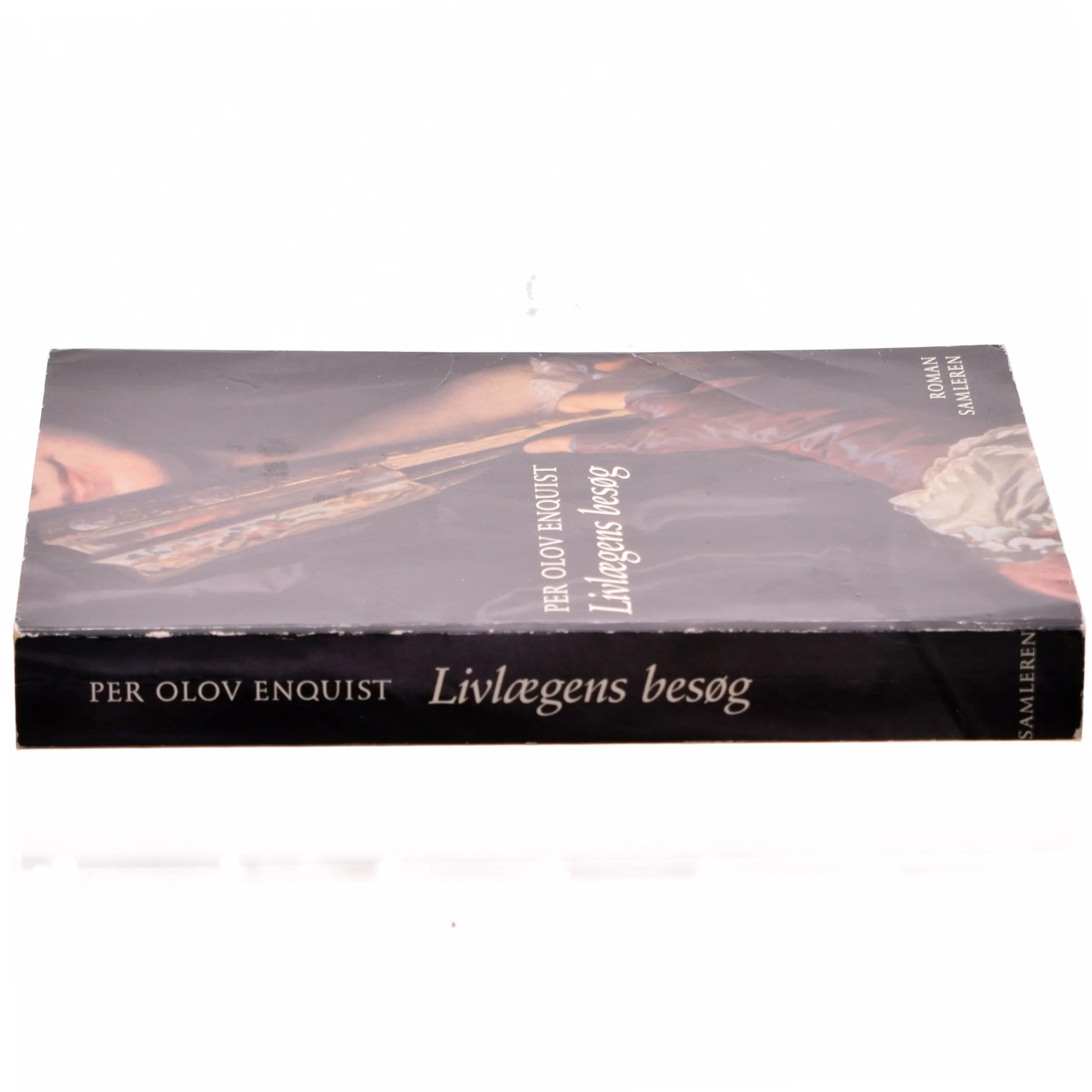 Livlaegens Besog: Roman (Danish Edition) (Bog)