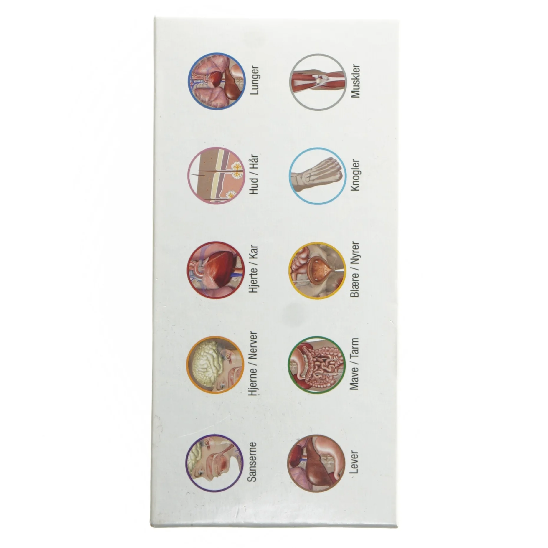 BodyIQ Junior brætspil fra BodyIQ