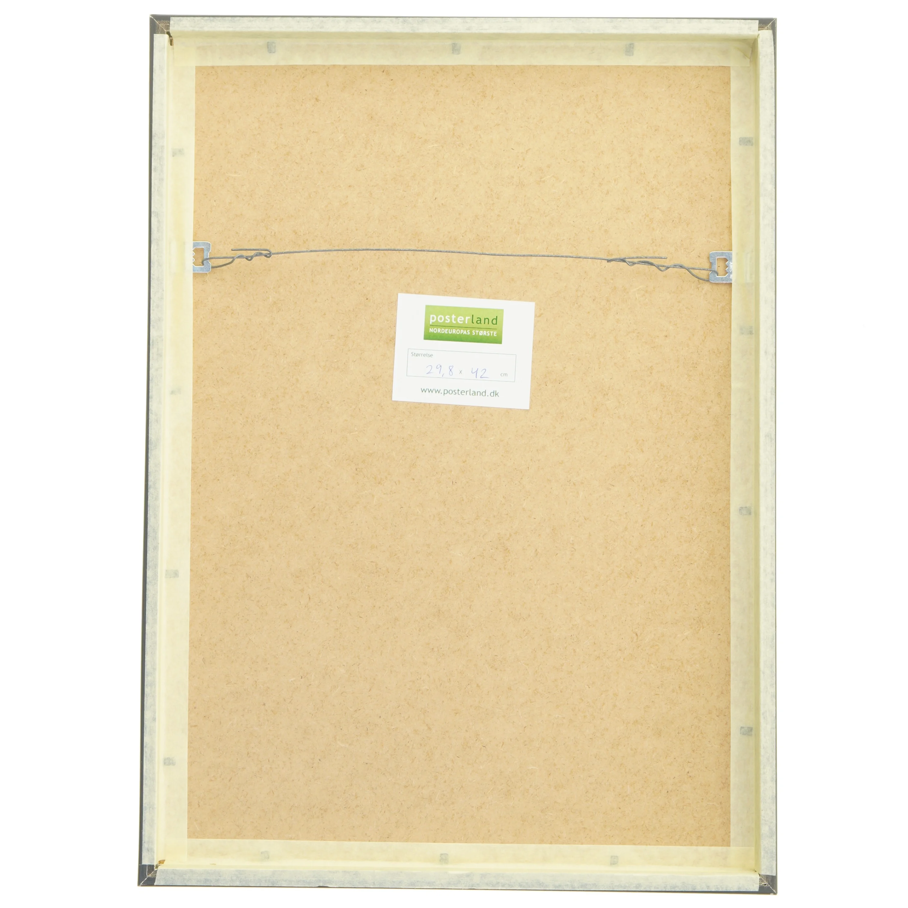 Indrammet billede af et træ (str. 29,8x42 cm)