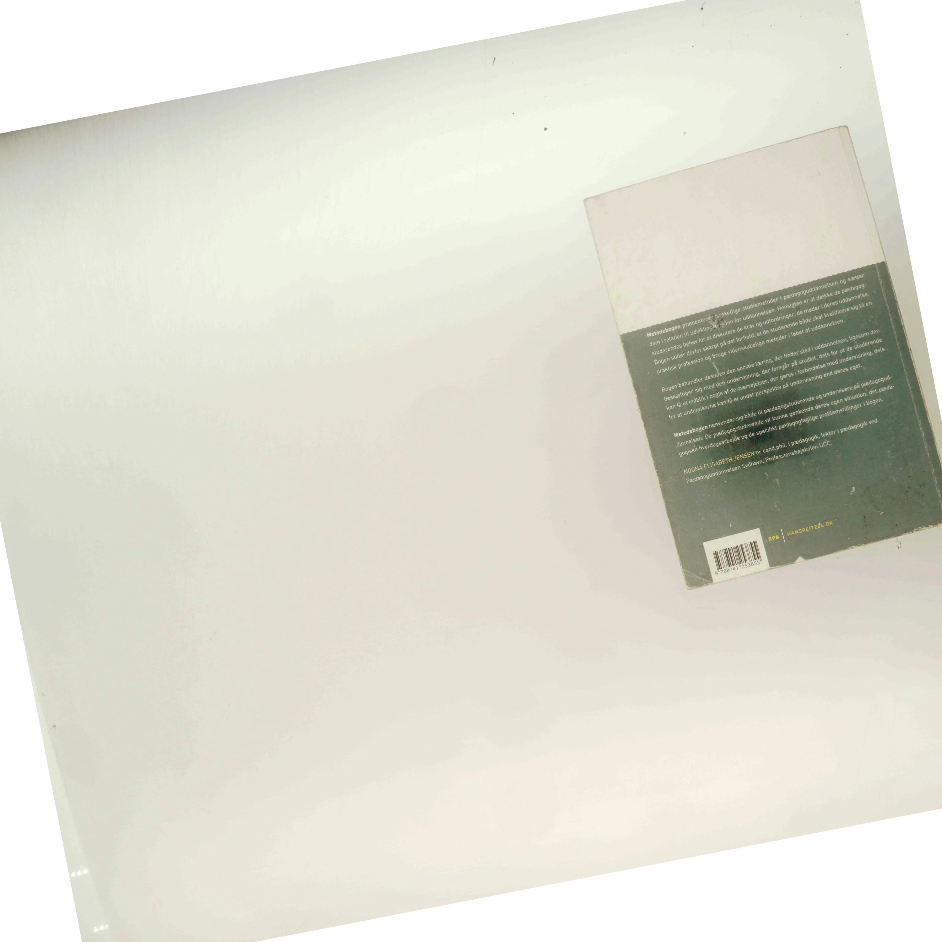 Metodebogen : pædagogstuderende mellem profession og akademisering af Noona Elisabeth Jensen (Bog)